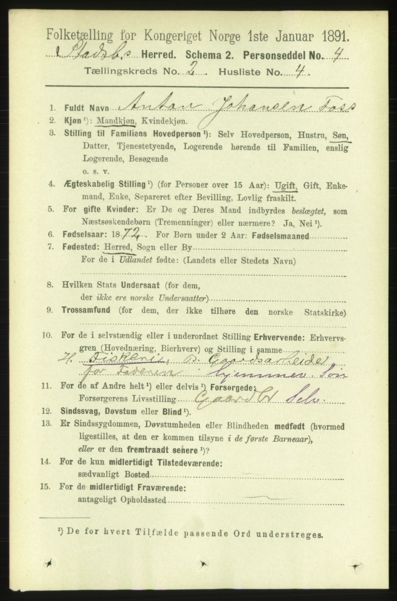 RA, 1891 census for 1625 Stadsbygd, 1891, p. 802