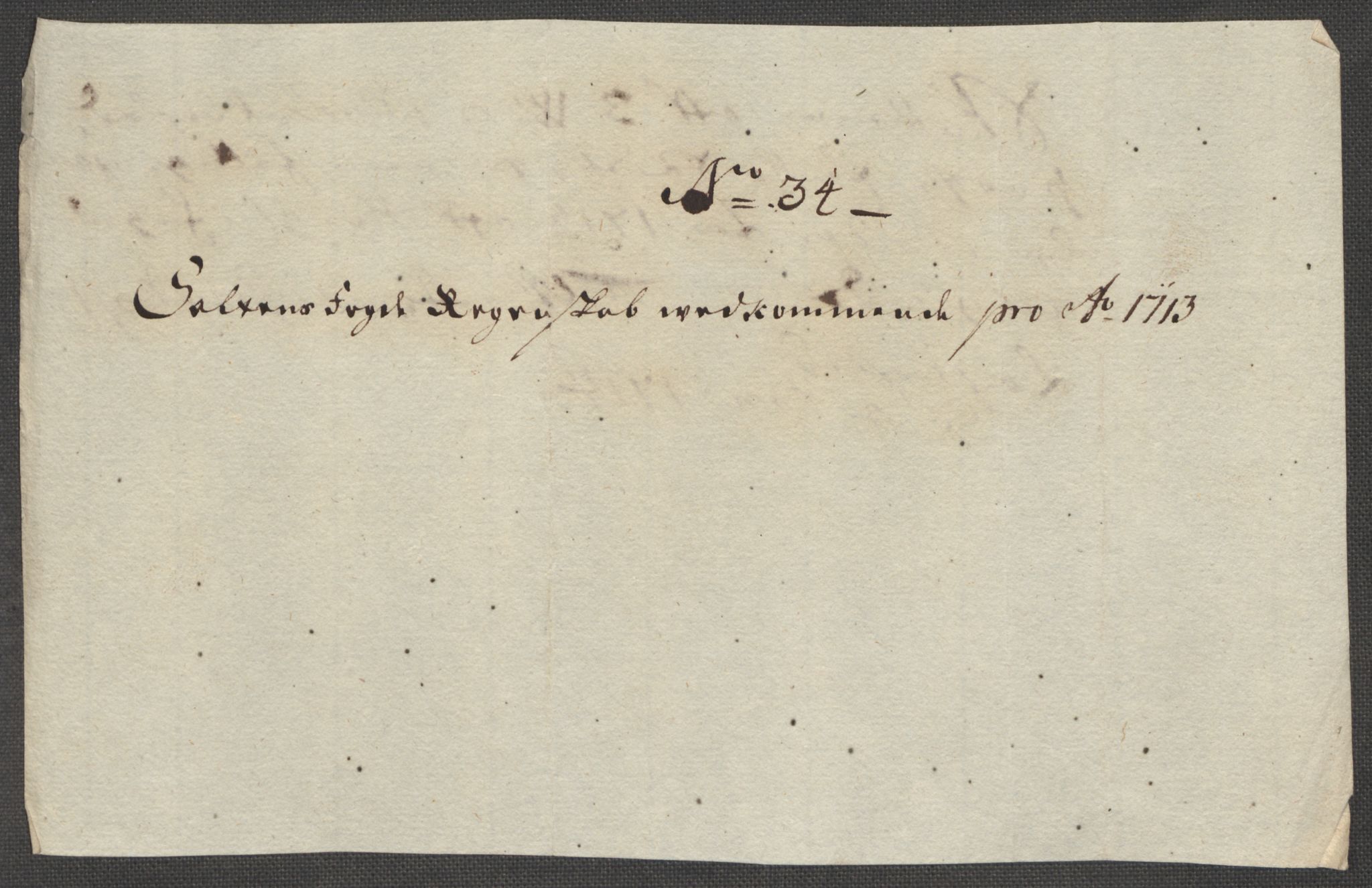 Rentekammeret inntil 1814, Reviderte regnskaper, Fogderegnskap, AV/RA-EA-4092/R66/L4583: Fogderegnskap Salten, 1713, p. 196