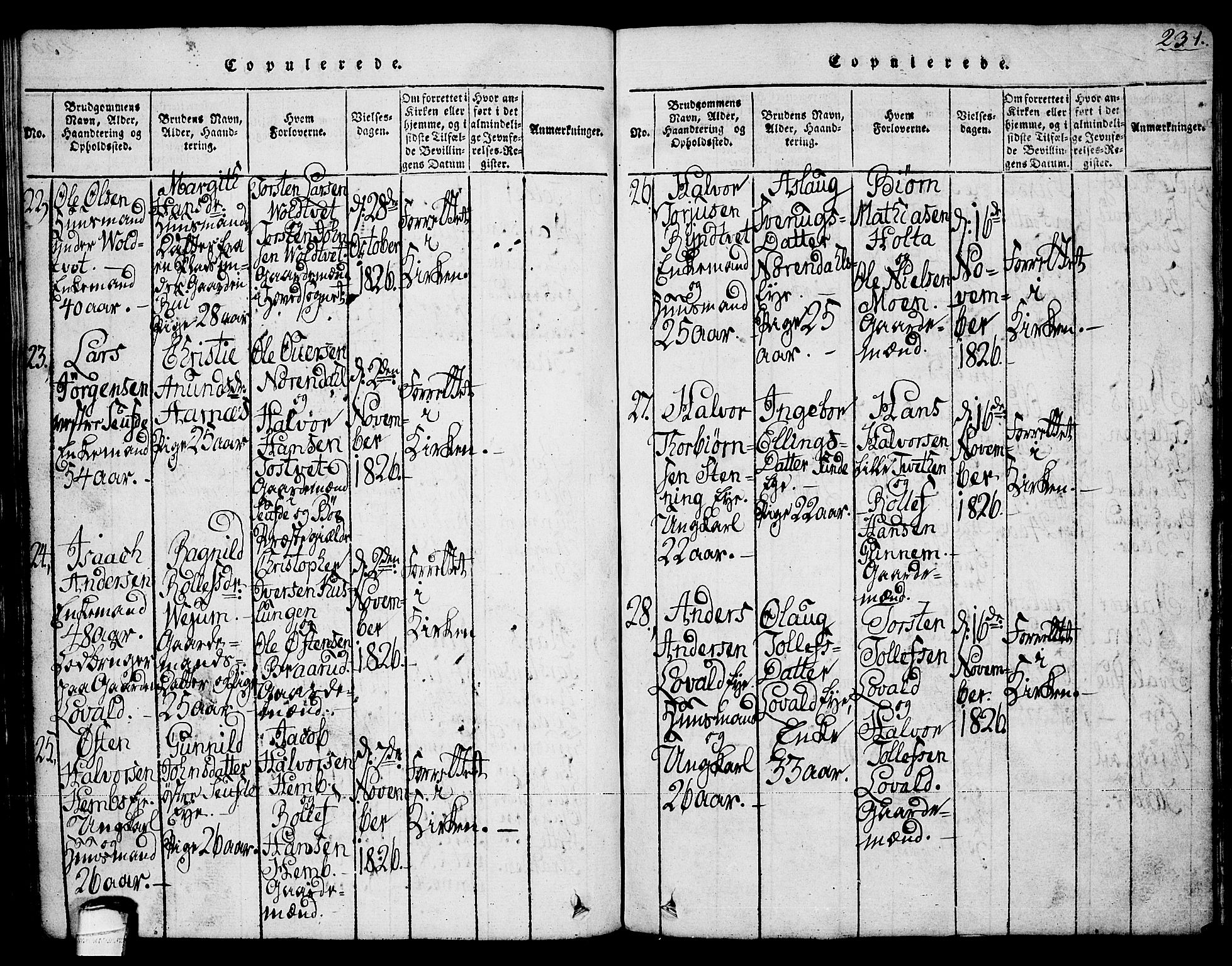 Sauherad kirkebøker, SAKO/A-298/G/Ga/L0001: Parish register (copy) no. I 1, 1815-1827, p. 231