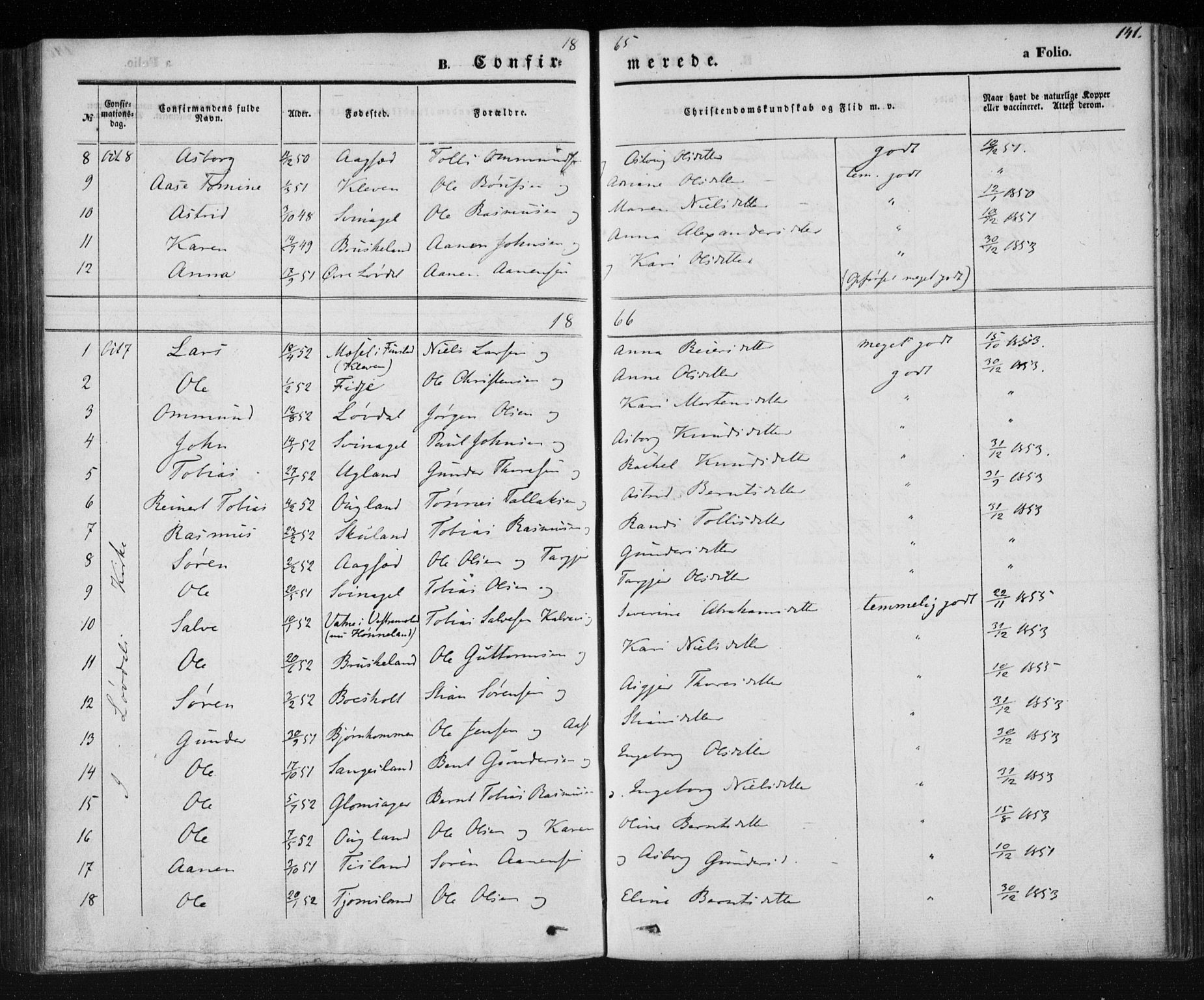 Holum sokneprestkontor, AV/SAK-1111-0022/F/Fa/Fab/L0005: Parish register (official) no. A 5, 1847-1874, p. 141