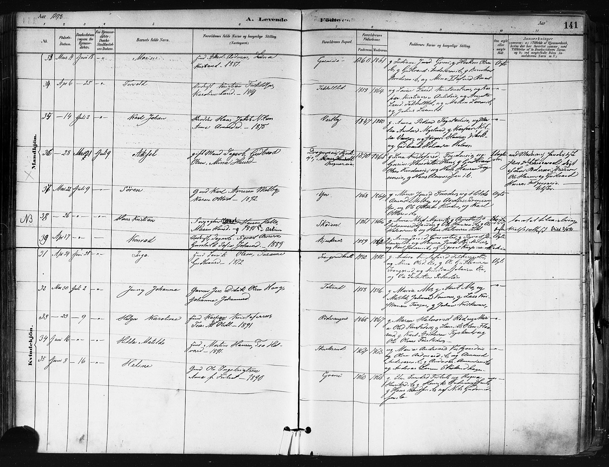 Nes prestekontor Kirkebøker, SAO/A-10410/F/Fa/L0010: Parish register (official) no. I 10, 1883-1898, p. 141