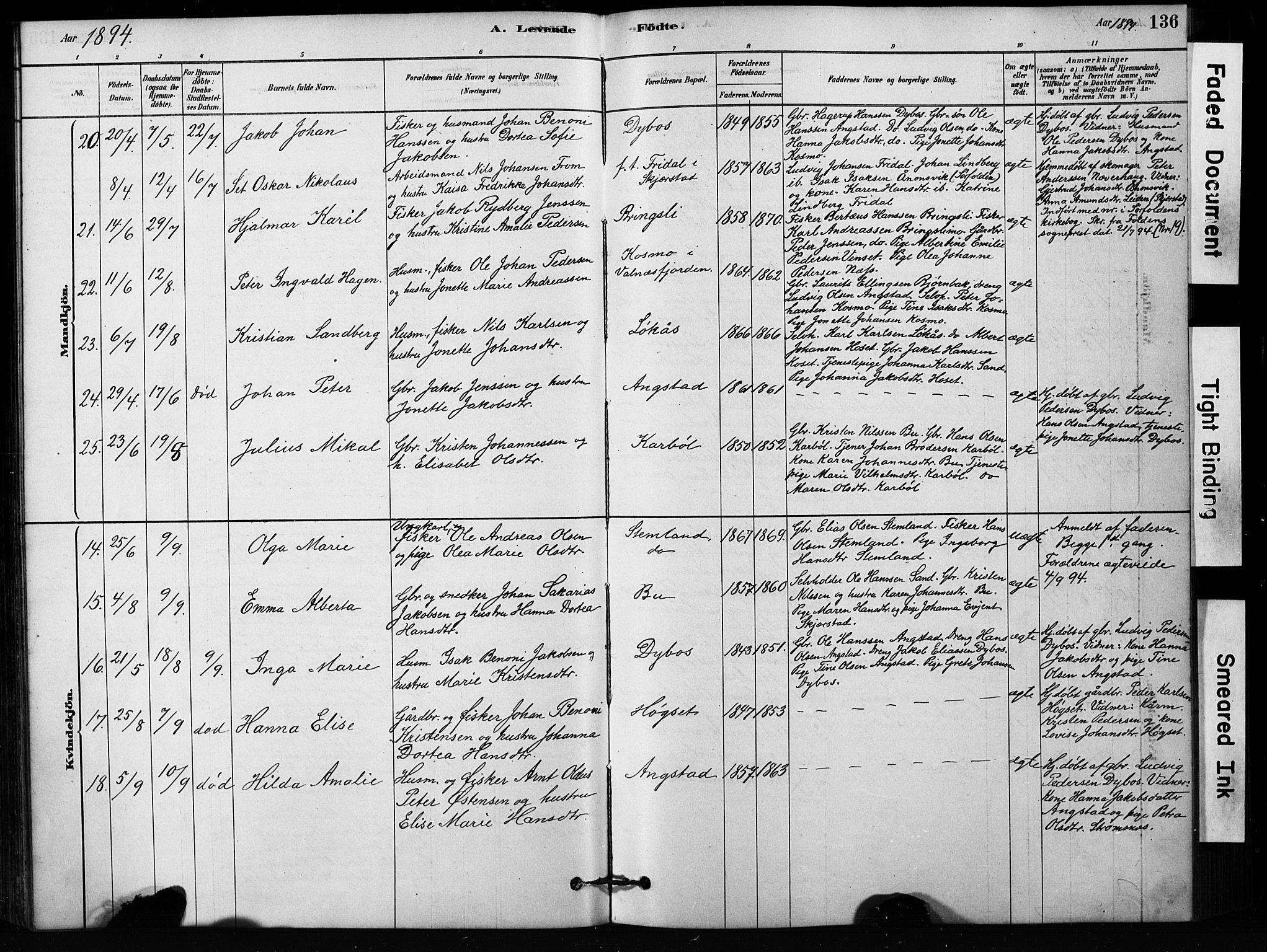 Ministerialprotokoller, klokkerbøker og fødselsregistre - Nordland, AV/SAT-A-1459/852/L0754: Parish register (copy) no. 852C05, 1878-1894, p. 136