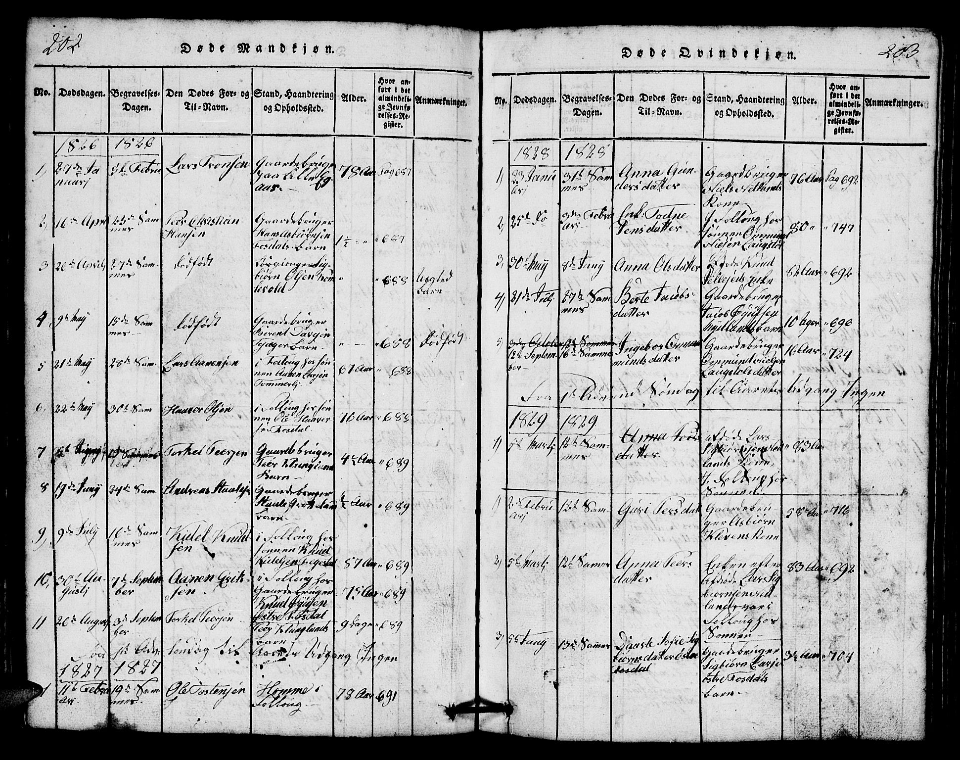 Bakke sokneprestkontor, SAK/1111-0002/F/Fb/Fbb/L0001: Parish register (copy) no. B 1, 1815-1835, p. 202-203