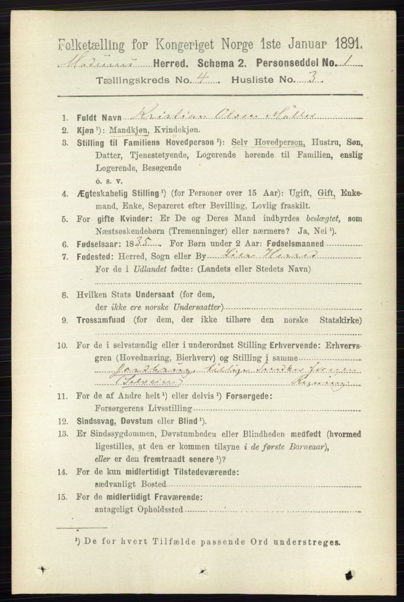 RA, 1891 census for 0623 Modum, 1891, p. 1001