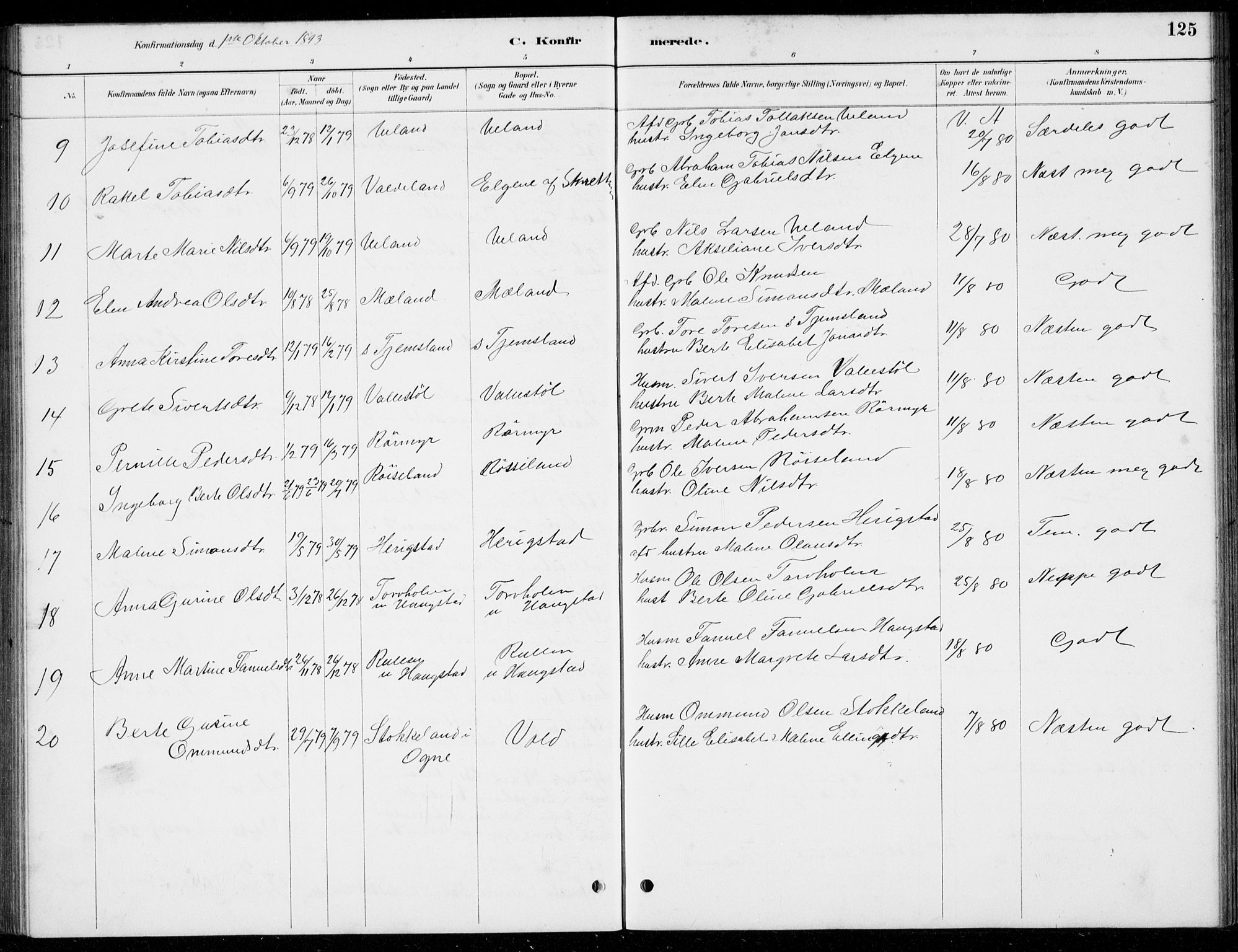 Hå sokneprestkontor, SAST/A-101801/001/30BB/L0004: Parish register (copy) no. B 4, 1883-1899, p. 125