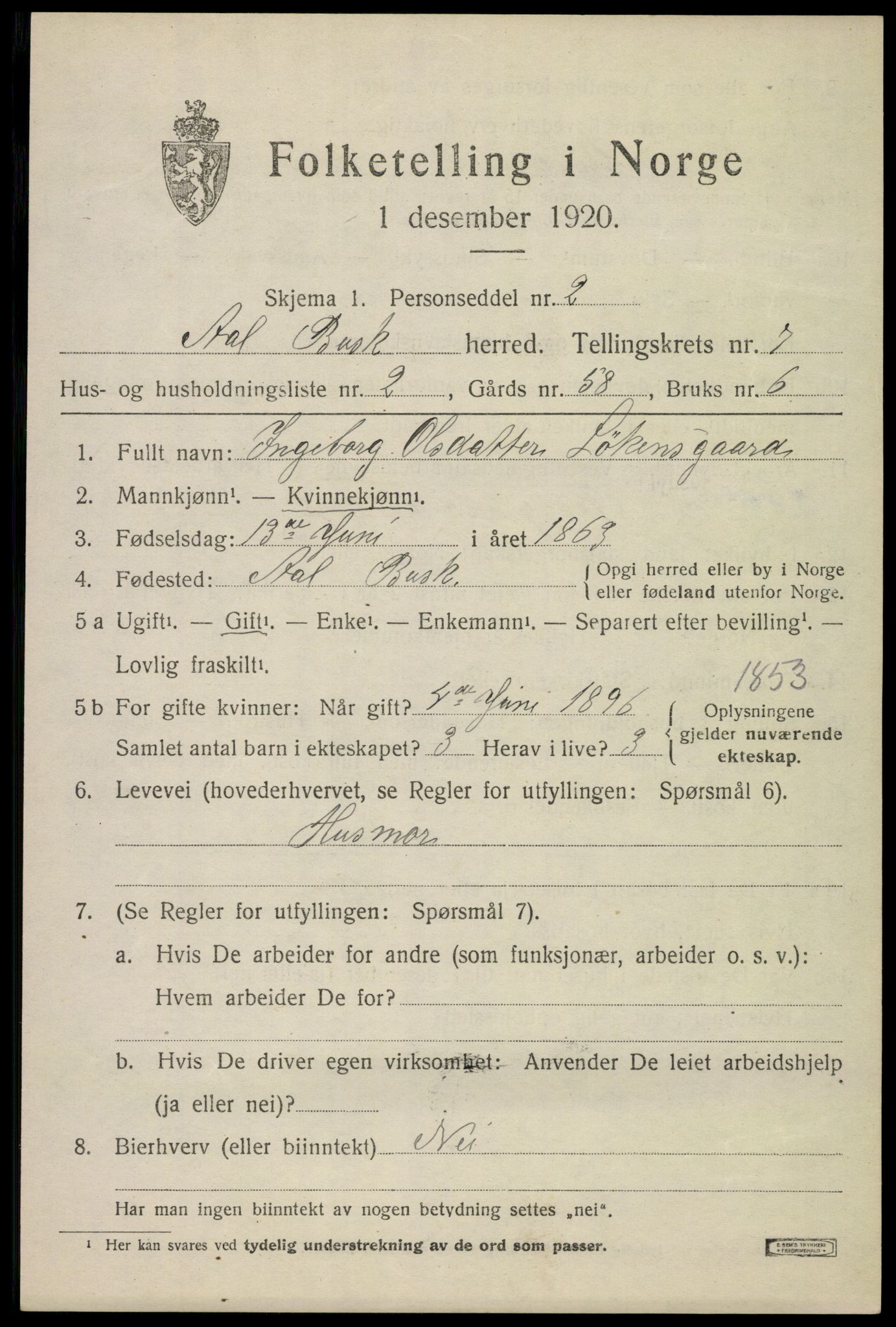 SAKO, 1920 census for Ål, 1920, p. 4802