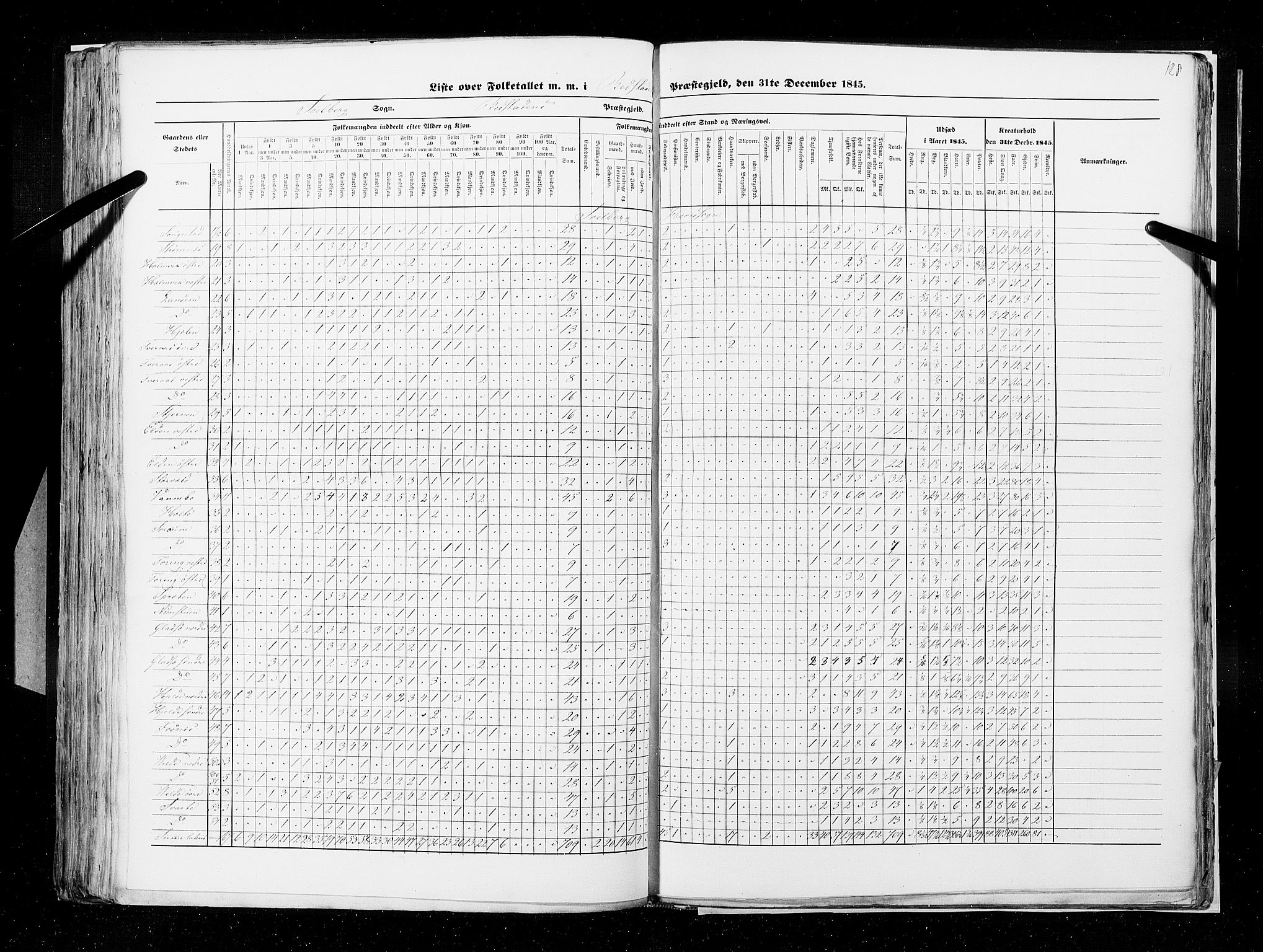 RA, Census 1845, vol. 9A: Nordre Trondhjems amt, 1845, p. 128