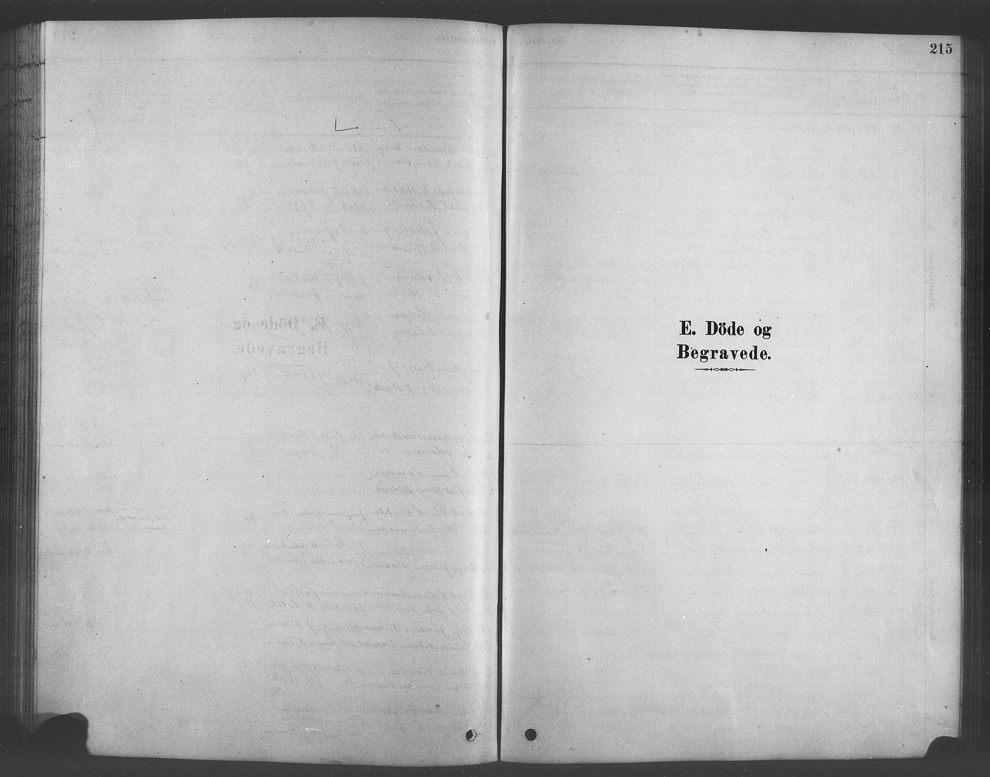 Bruvik Sokneprestembete, SAB/A-74701/H/Hab: Parish register (copy) no. A 1, 1878-1907, p. 215