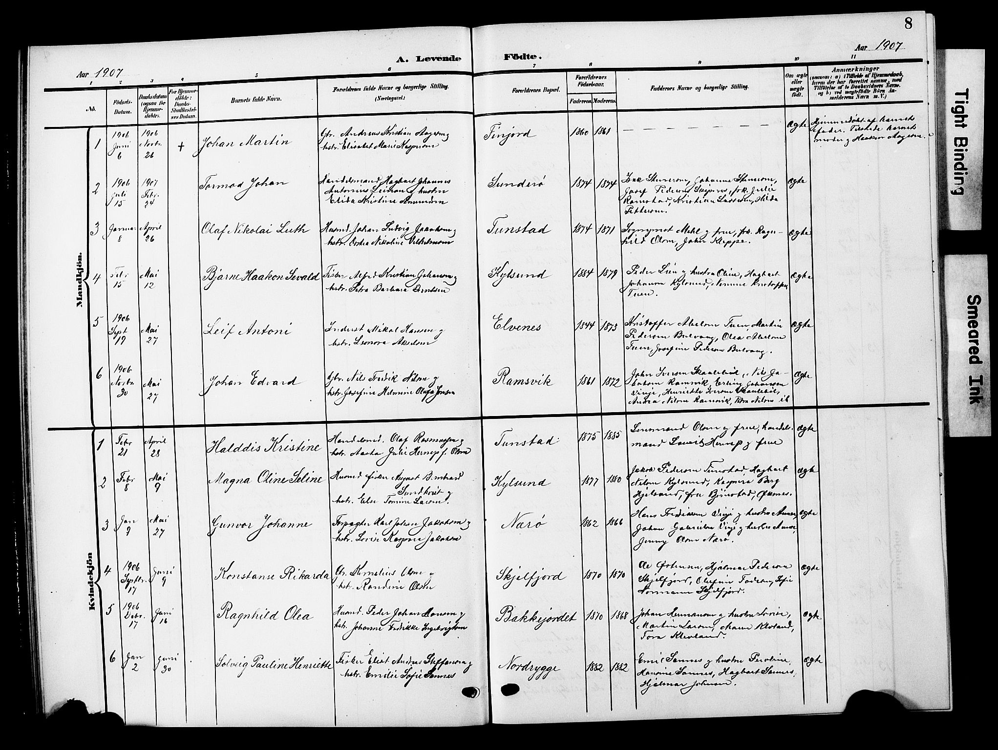 Ministerialprotokoller, klokkerbøker og fødselsregistre - Nordland, AV/SAT-A-1459/893/L1350: Parish register (copy) no. 893C05, 1906-1927, p. 8