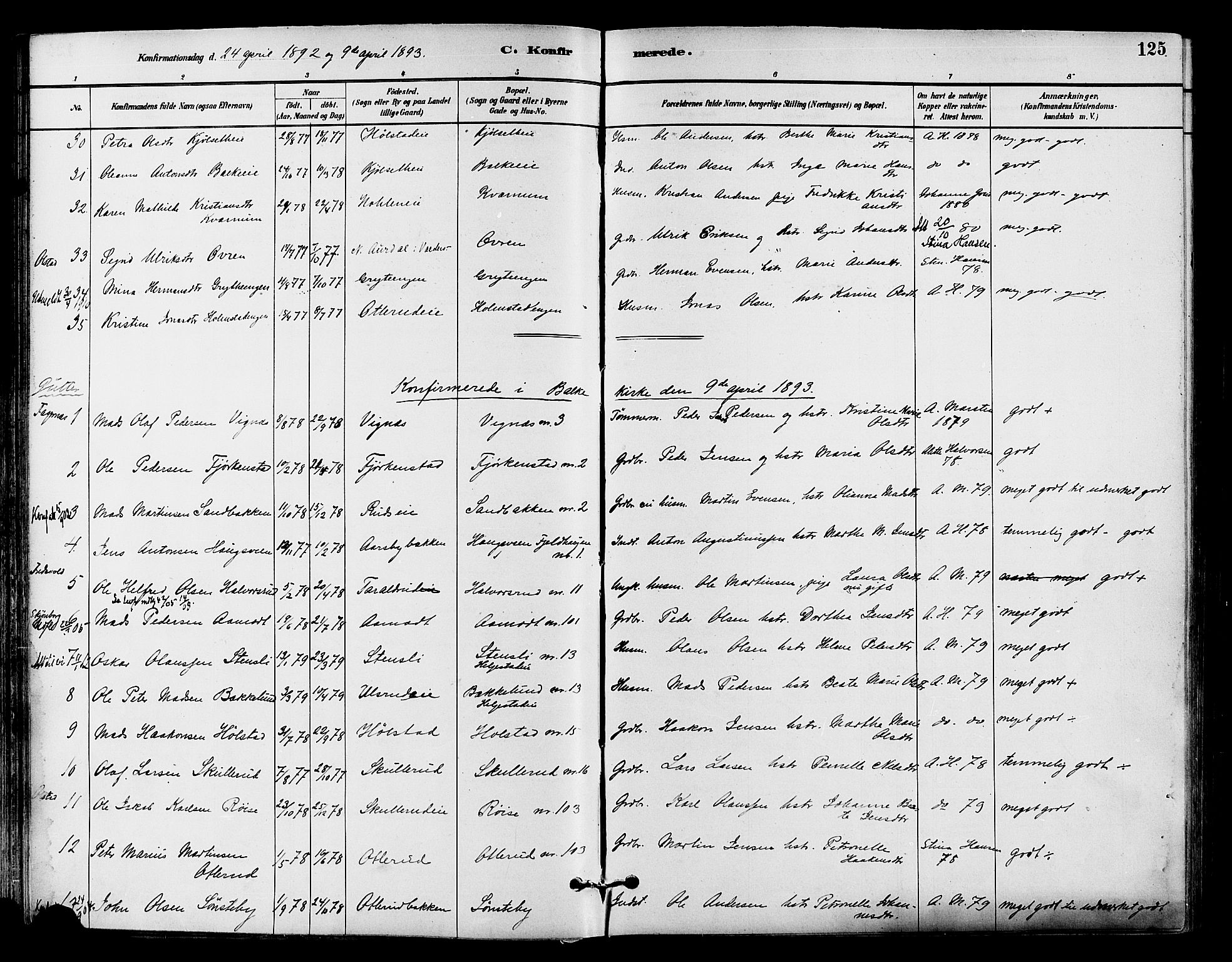 Østre Toten prestekontor, SAH/PREST-104/H/Ha/Haa/L0007: Parish register (official) no. 7, 1881-1896, p. 125