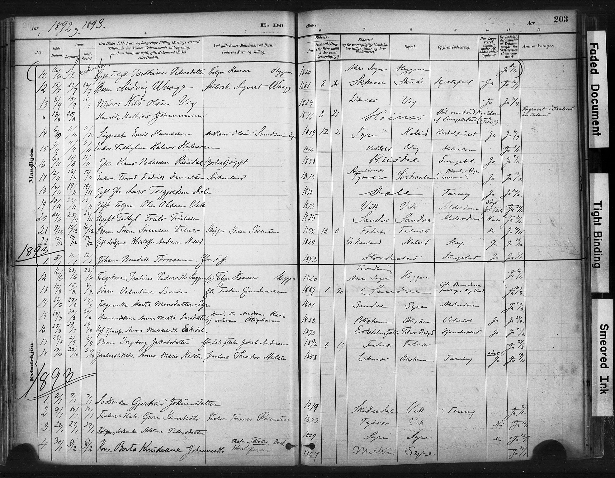 Skudenes sokneprestkontor, SAST/A -101849/H/Ha/Haa/L0009: Parish register (official) no. A 6, 1882-1912, p. 203