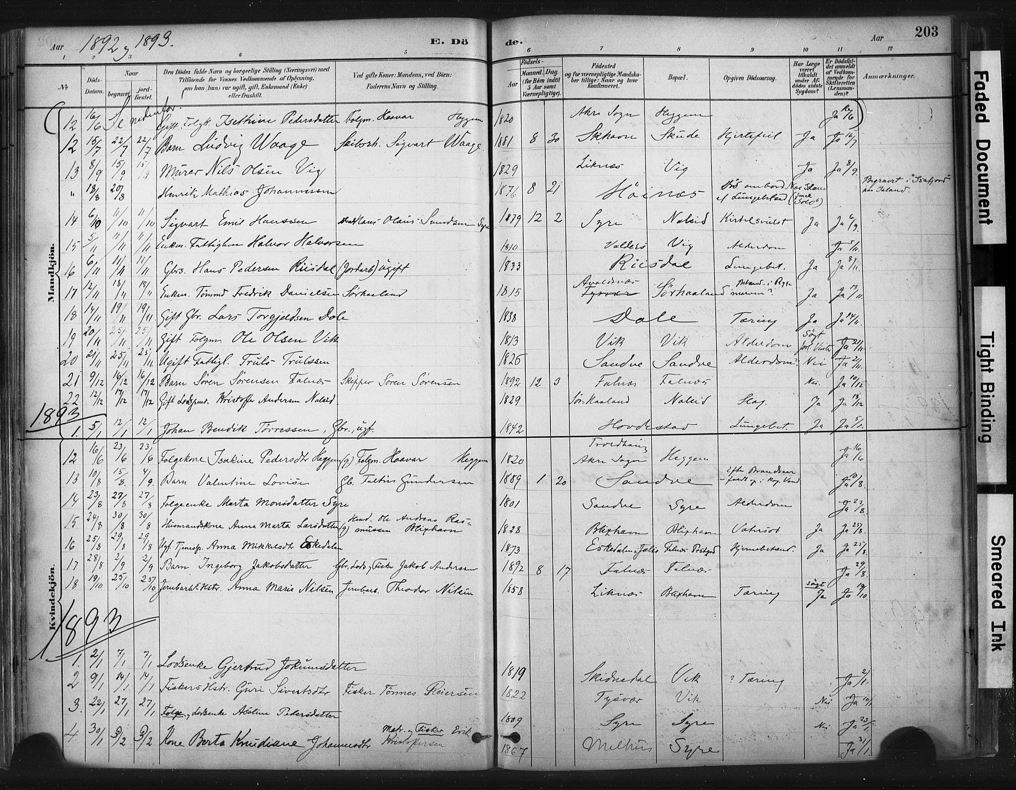 Skudenes sokneprestkontor, AV/SAST-A -101849/H/Ha/Haa/L0009: Parish register (official) no. A 6, 1882-1912, p. 203