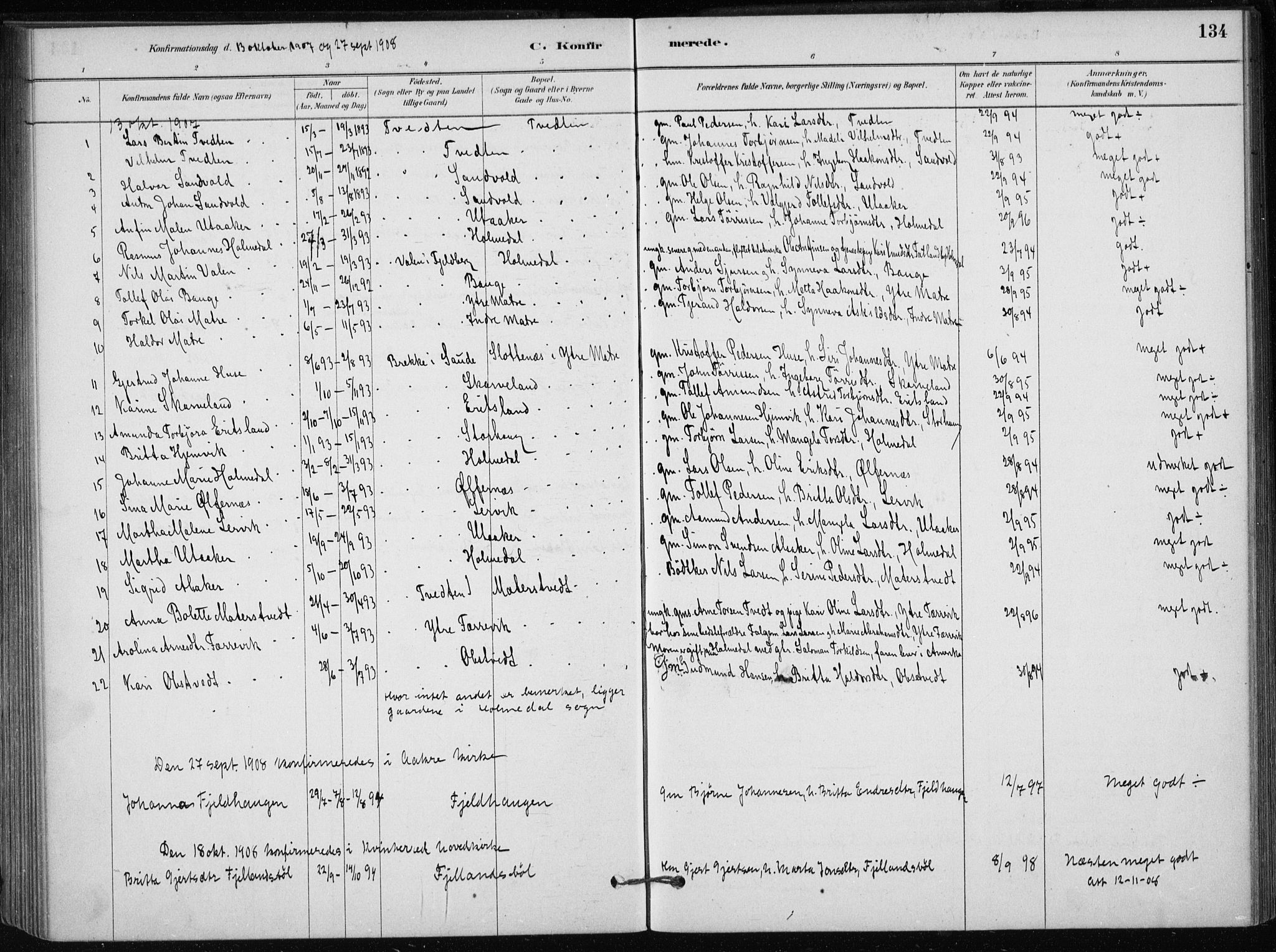 Skånevik sokneprestembete, AV/SAB-A-77801/H/Haa: Parish register (official) no. C  1, 1879-1917, p. 134