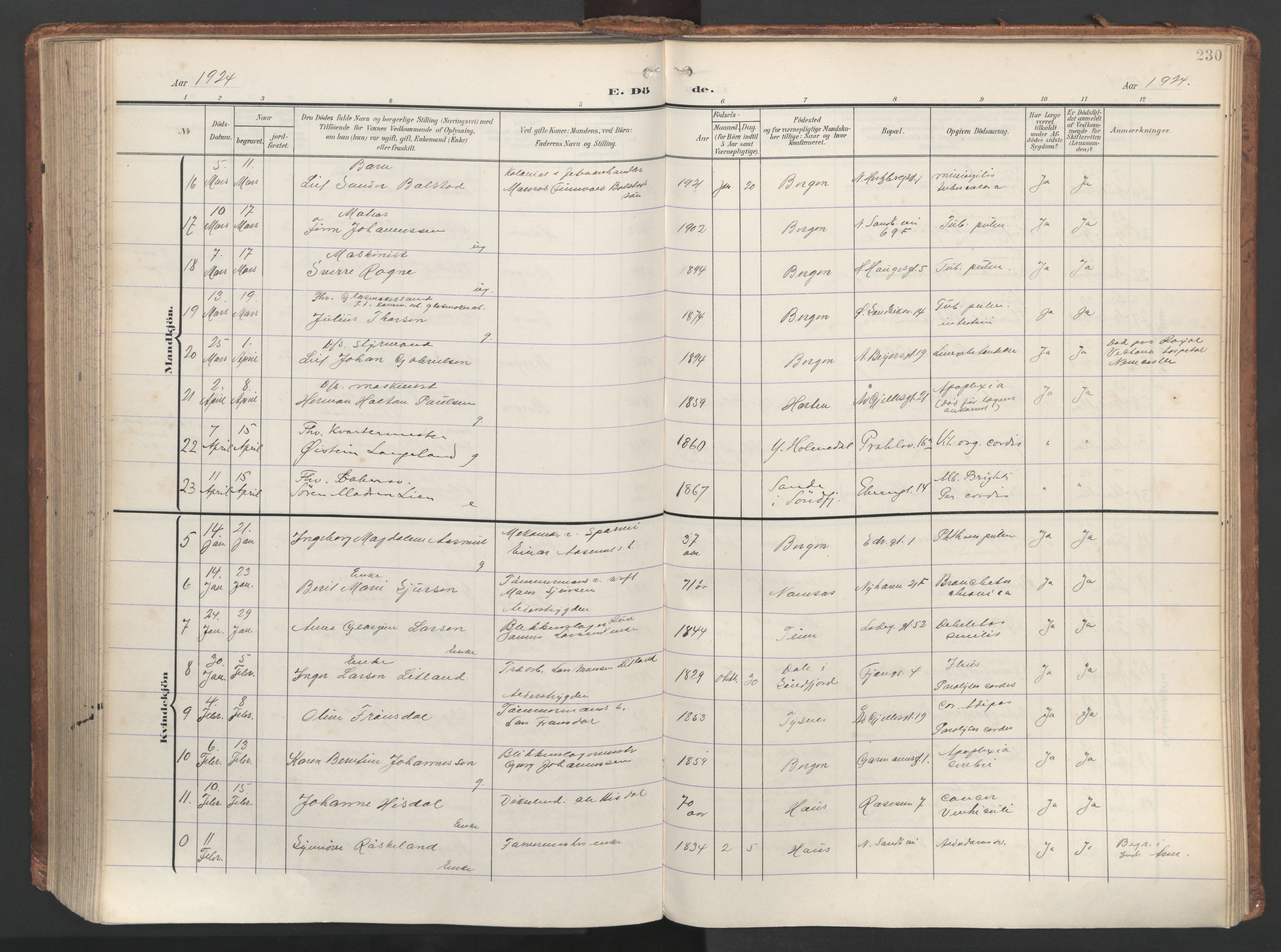 Sandviken Sokneprestembete, AV/SAB-A-77601/H/Ha/L0019: Parish register (official) no. E 2, 1905-1933, p. 230