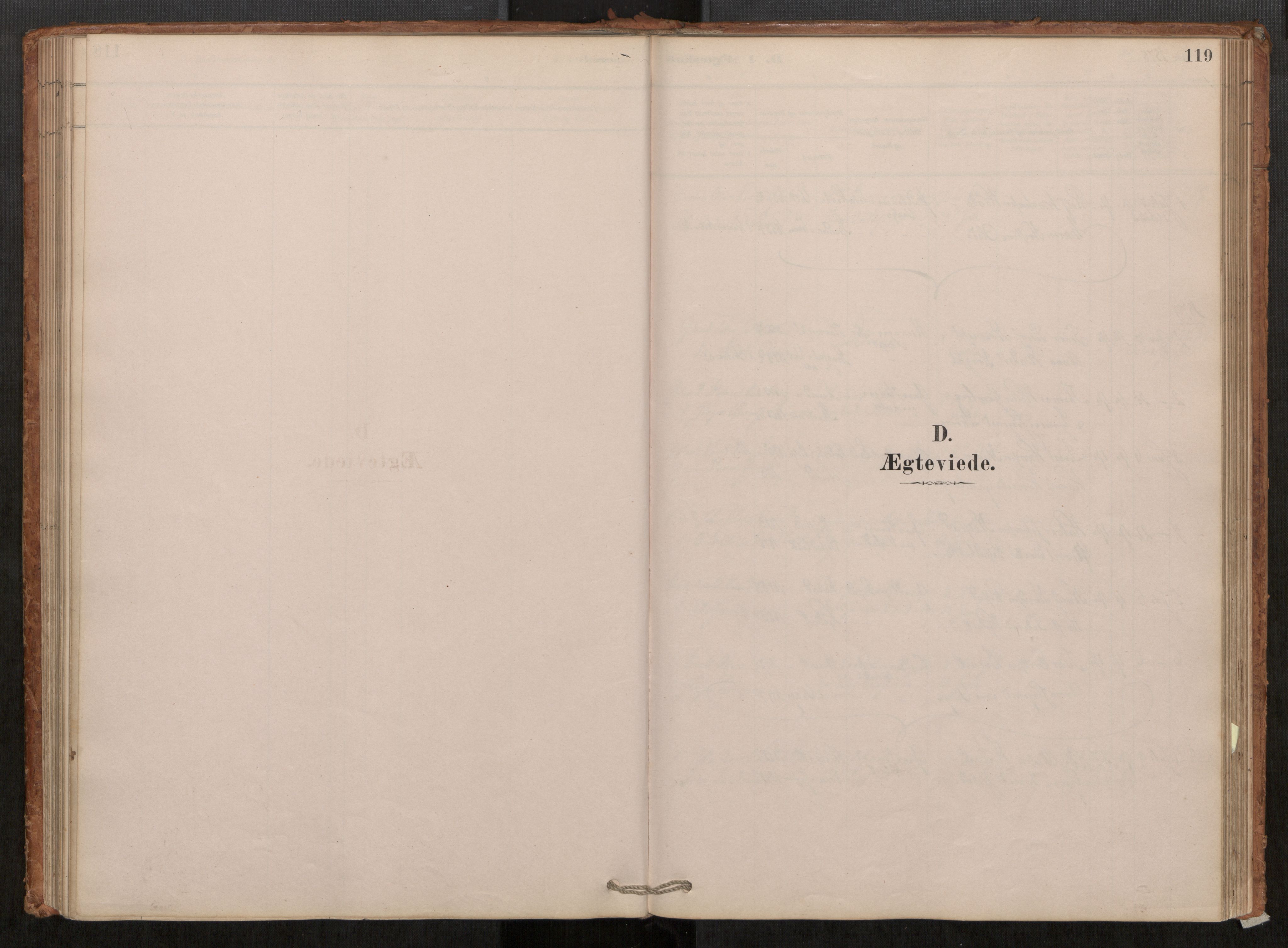 Ministerialprotokoller, klokkerbøker og fødselsregistre - Møre og Romsdal, SAT/A-1454/550/L0621: Parish register (official) no. 550A01, 1878-1915, p. 119