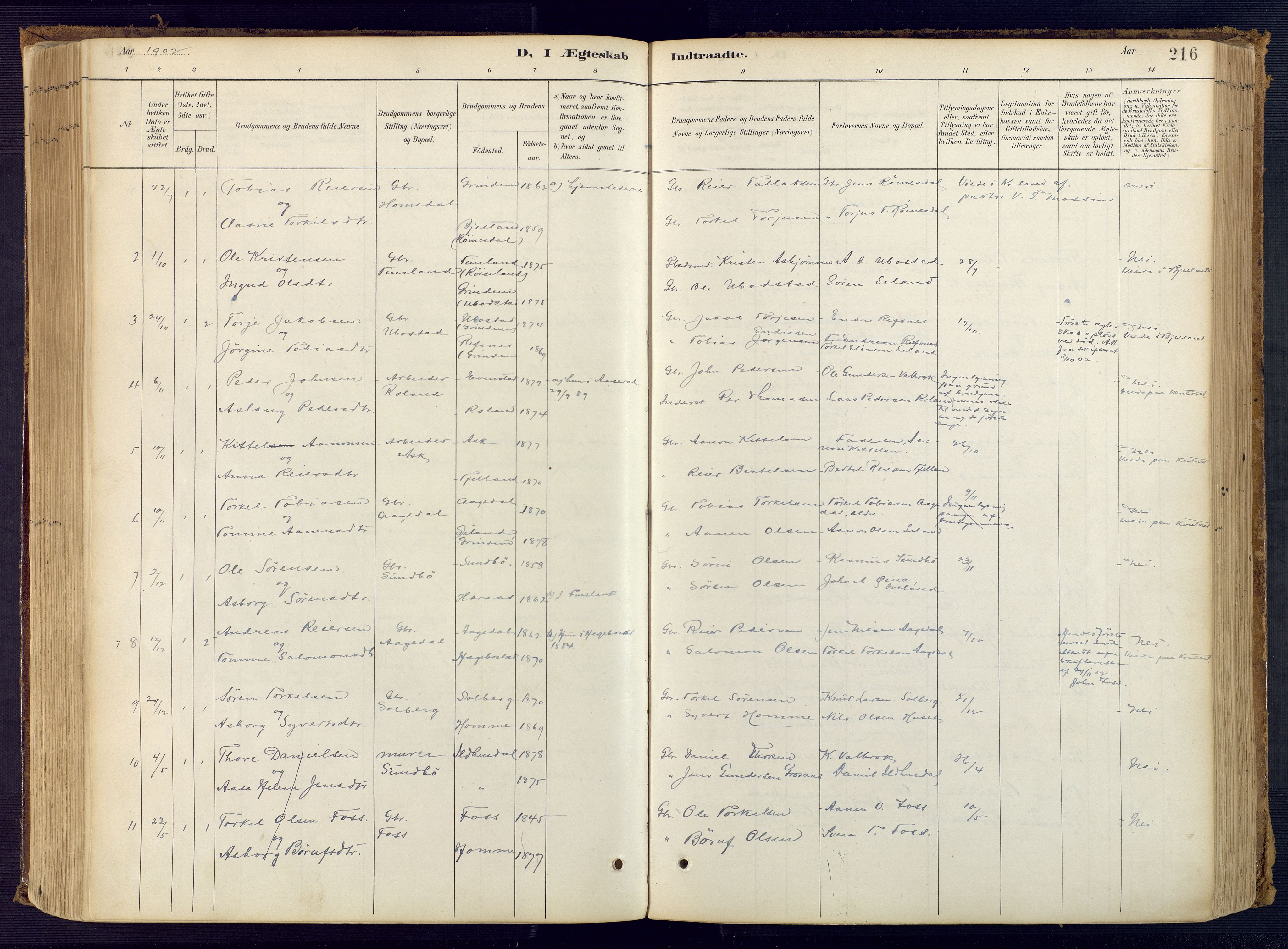 Bjelland sokneprestkontor, SAK/1111-0005/F/Fa/Faa/L0004: Parish register (official) no. A 4, 1887-1923, p. 216