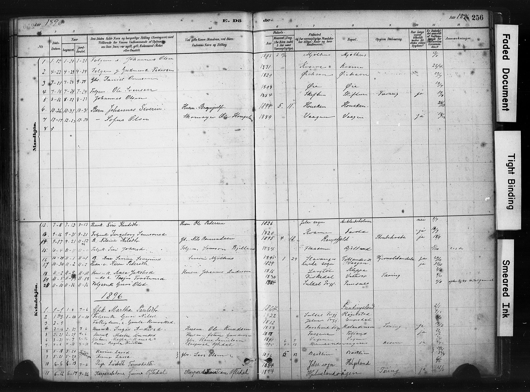 Hjelmeland sokneprestkontor, SAST/A-101843/01/IV/L0014: Parish register (official) no. A 14, 1879-1900, p. 256