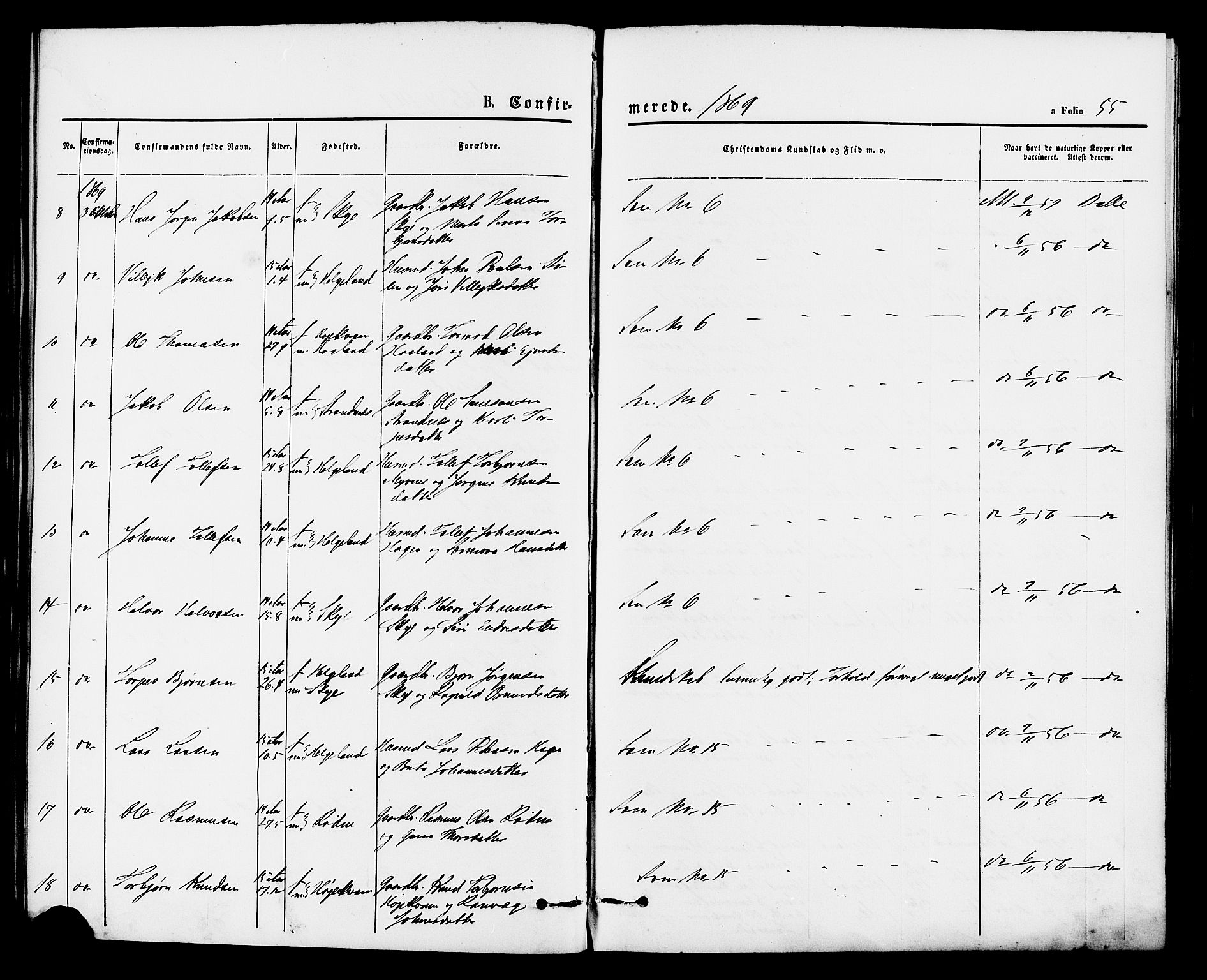 Vikedal sokneprestkontor, AV/SAST-A-101840/01/IV: Parish register (official) no. A 8, 1868-1885, p. 55