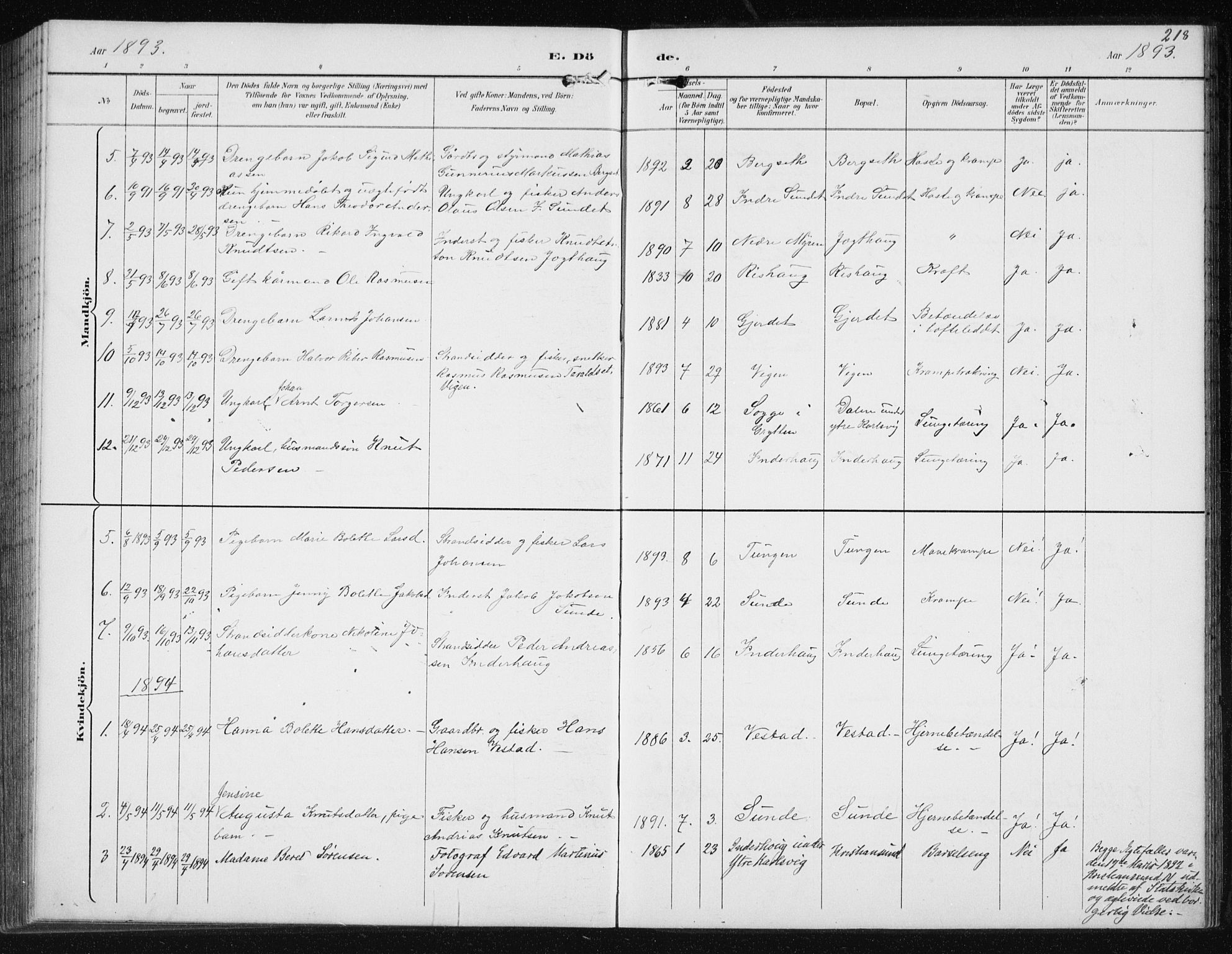 Ministerialprotokoller, klokkerbøker og fødselsregistre - Møre og Romsdal, AV/SAT-A-1454/566/L0773: Parish register (copy) no. 566C02, 1892-1909, p. 218