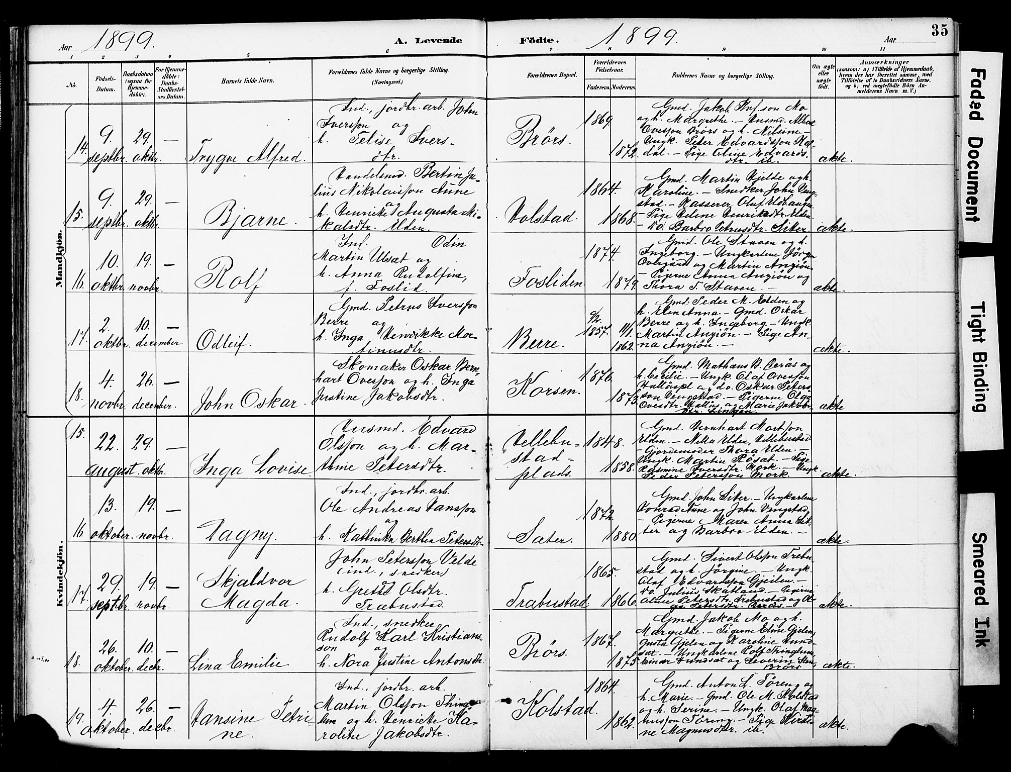 Ministerialprotokoller, klokkerbøker og fødselsregistre - Nord-Trøndelag, SAT/A-1458/742/L0409: Parish register (official) no. 742A02, 1891-1905, p. 35