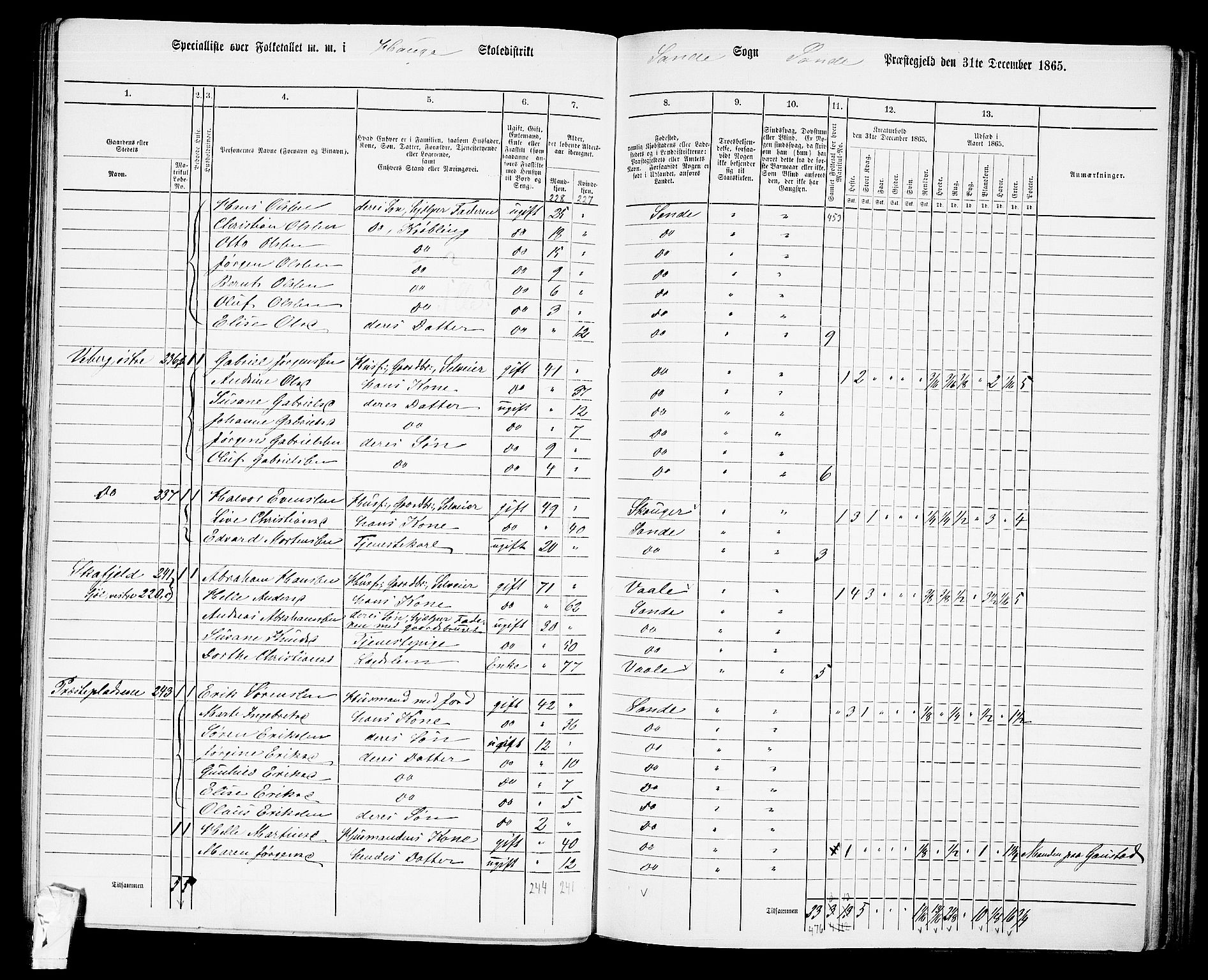 RA, 1865 census for Sande, 1865, p. 50