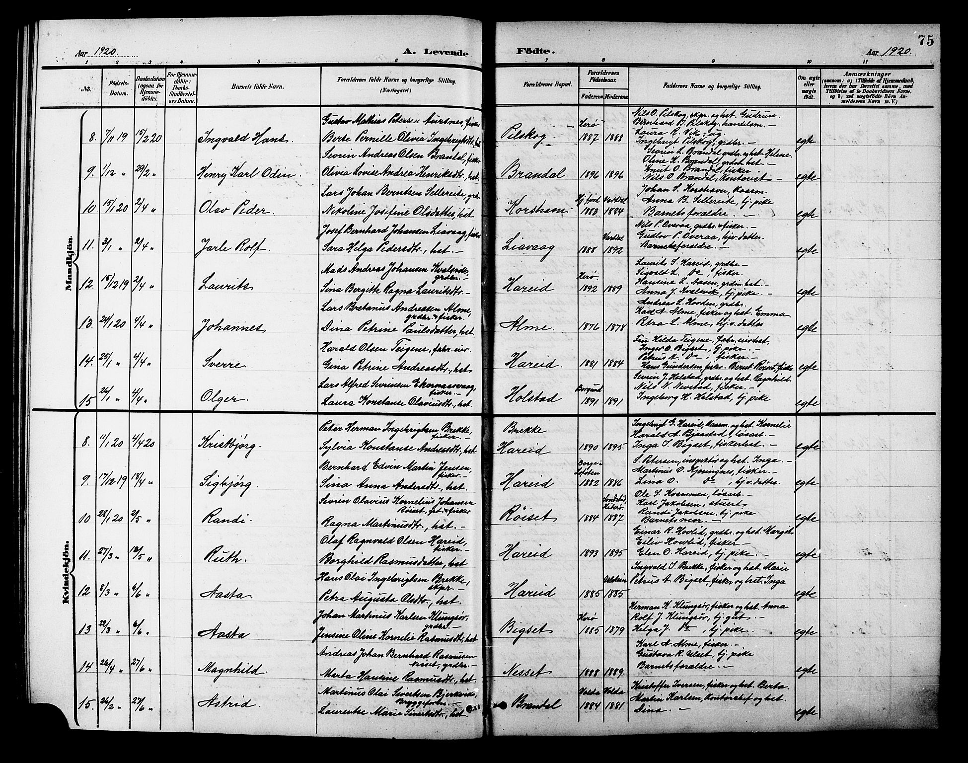 Ministerialprotokoller, klokkerbøker og fødselsregistre - Møre og Romsdal, AV/SAT-A-1454/510/L0126: Parish register (copy) no. 510C03, 1900-1922, p. 75