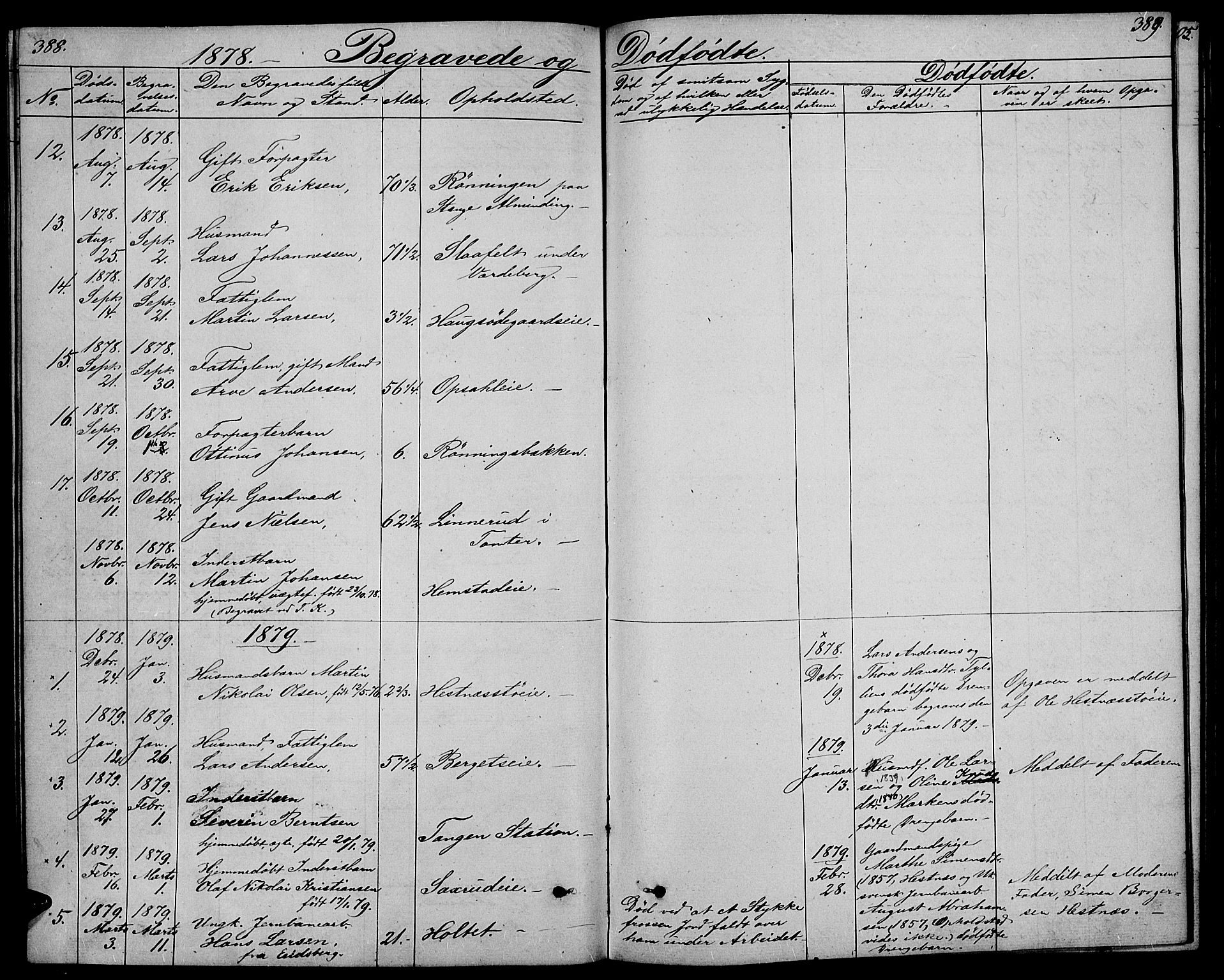 Stange prestekontor, SAH/PREST-002/L/L0005: Parish register (copy) no. 5, 1861-1881, p. 388-389