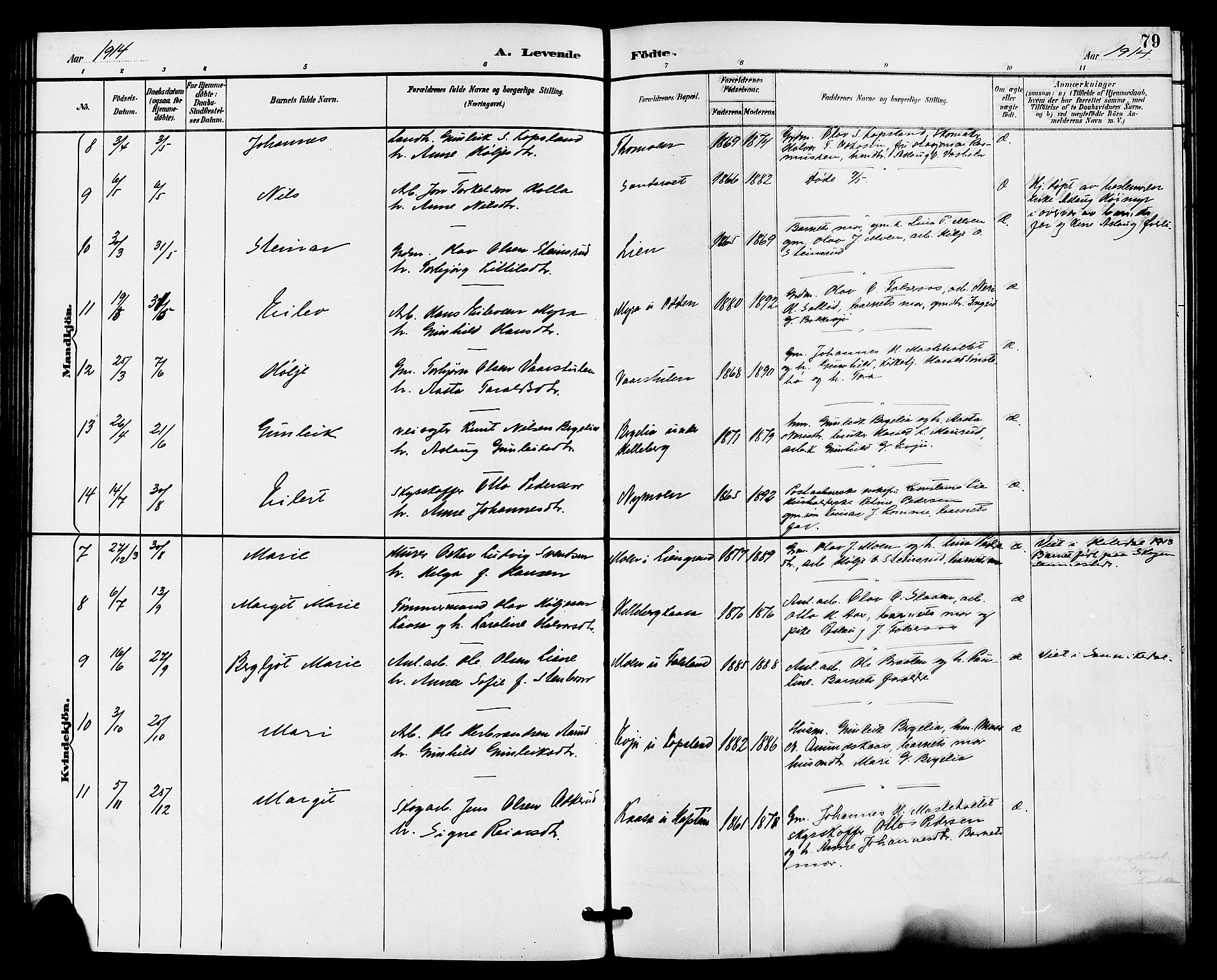 Gransherad kirkebøker, SAKO/A-267/G/Ga/L0003: Parish register (copy) no. I 3, 1887-1915, p. 79