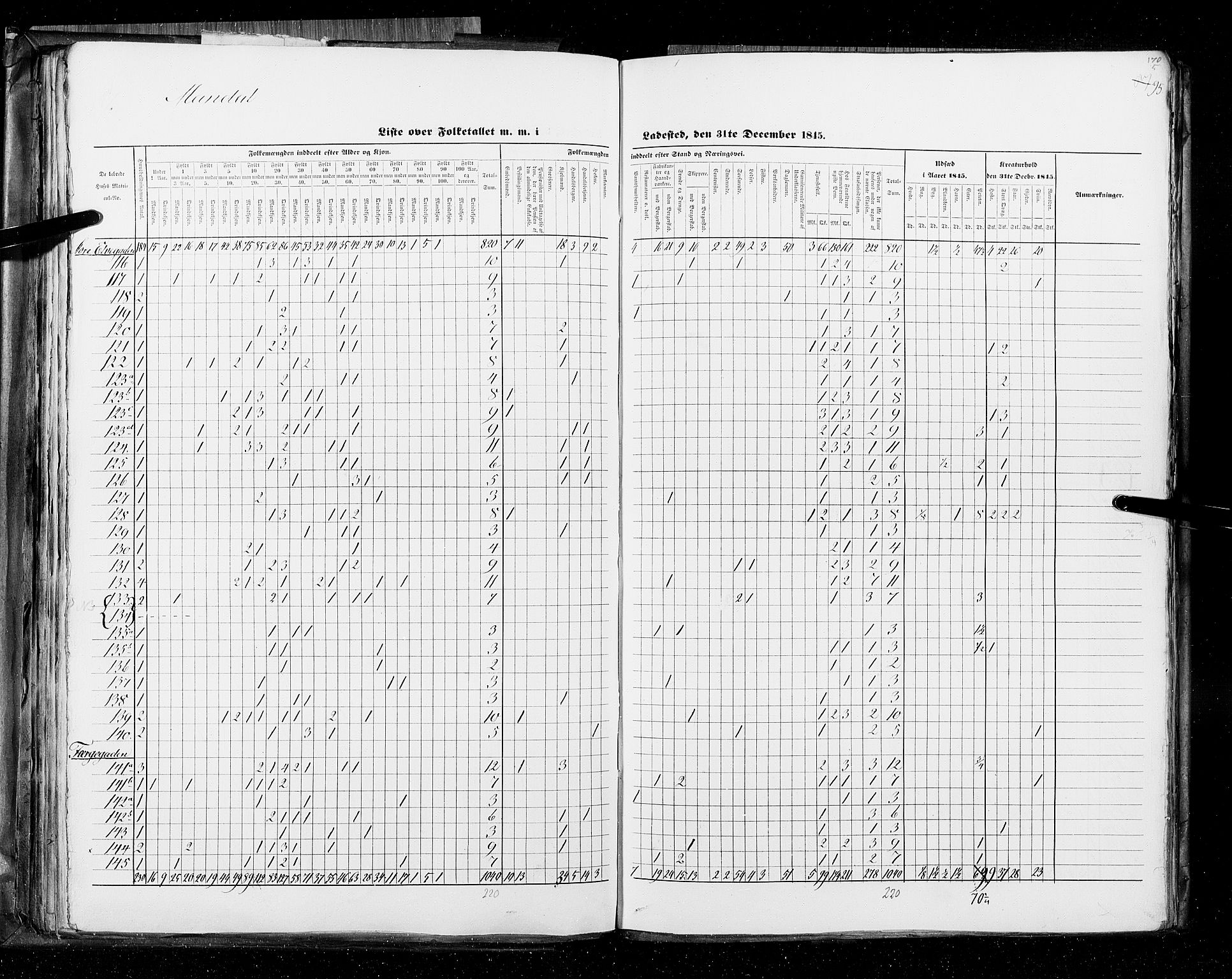 RA, Census 1845, vol. 11: Cities, 1845, p. 95