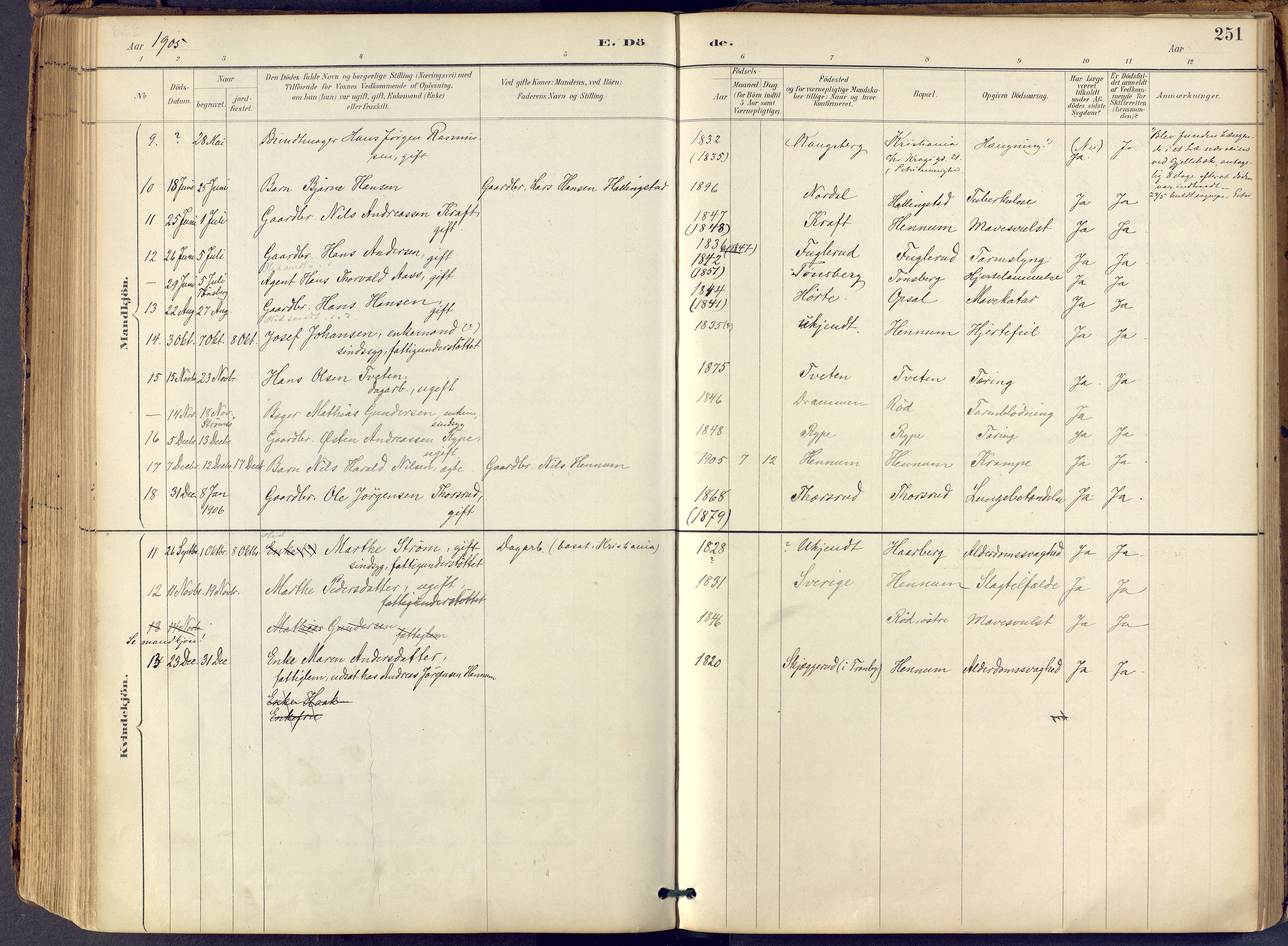 Lier kirkebøker, AV/SAKO-A-230/F/Fb/L0001: Parish register (official) no. II 1, 1883-1910, p. 251