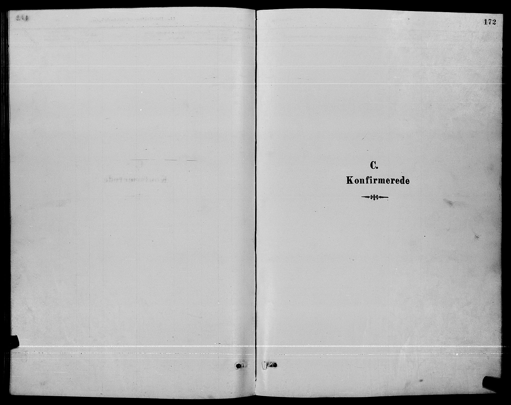 Ministerialprotokoller, klokkerbøker og fødselsregistre - Møre og Romsdal, SAT/A-1454/529/L0467: Parish register (copy) no. 529C04, 1889-1897, p. 172