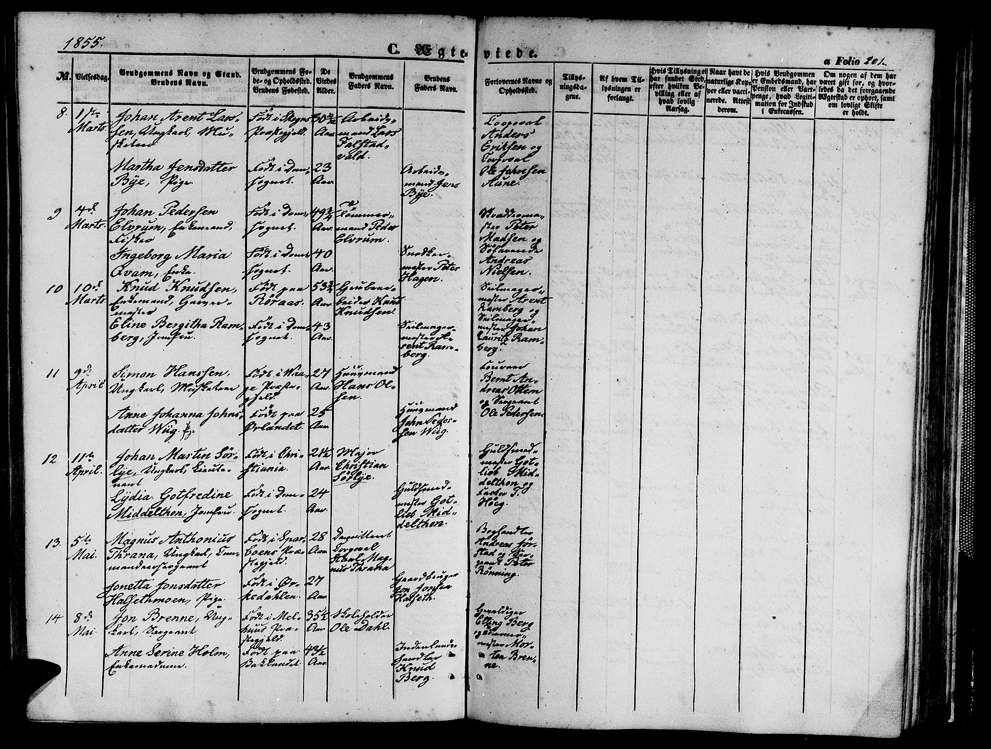 Ministerialprotokoller, klokkerbøker og fødselsregistre - Sør-Trøndelag, SAT/A-1456/602/L0138: Parish register (copy) no. 602C06, 1853-1858, p. 201