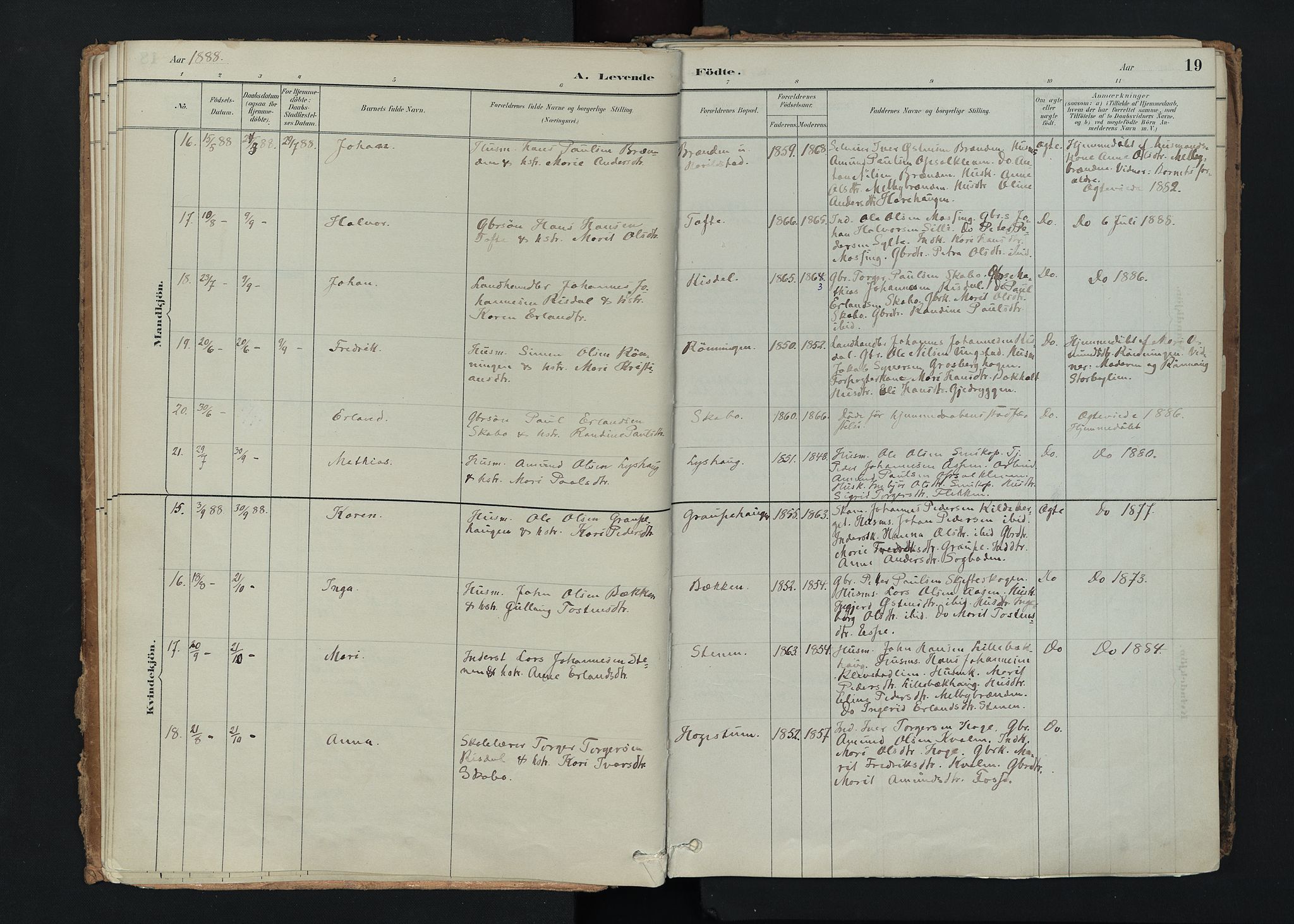 Nord-Fron prestekontor, AV/SAH-PREST-080/H/Ha/Haa/L0005: Parish register (official) no. 5, 1884-1914, p. 19