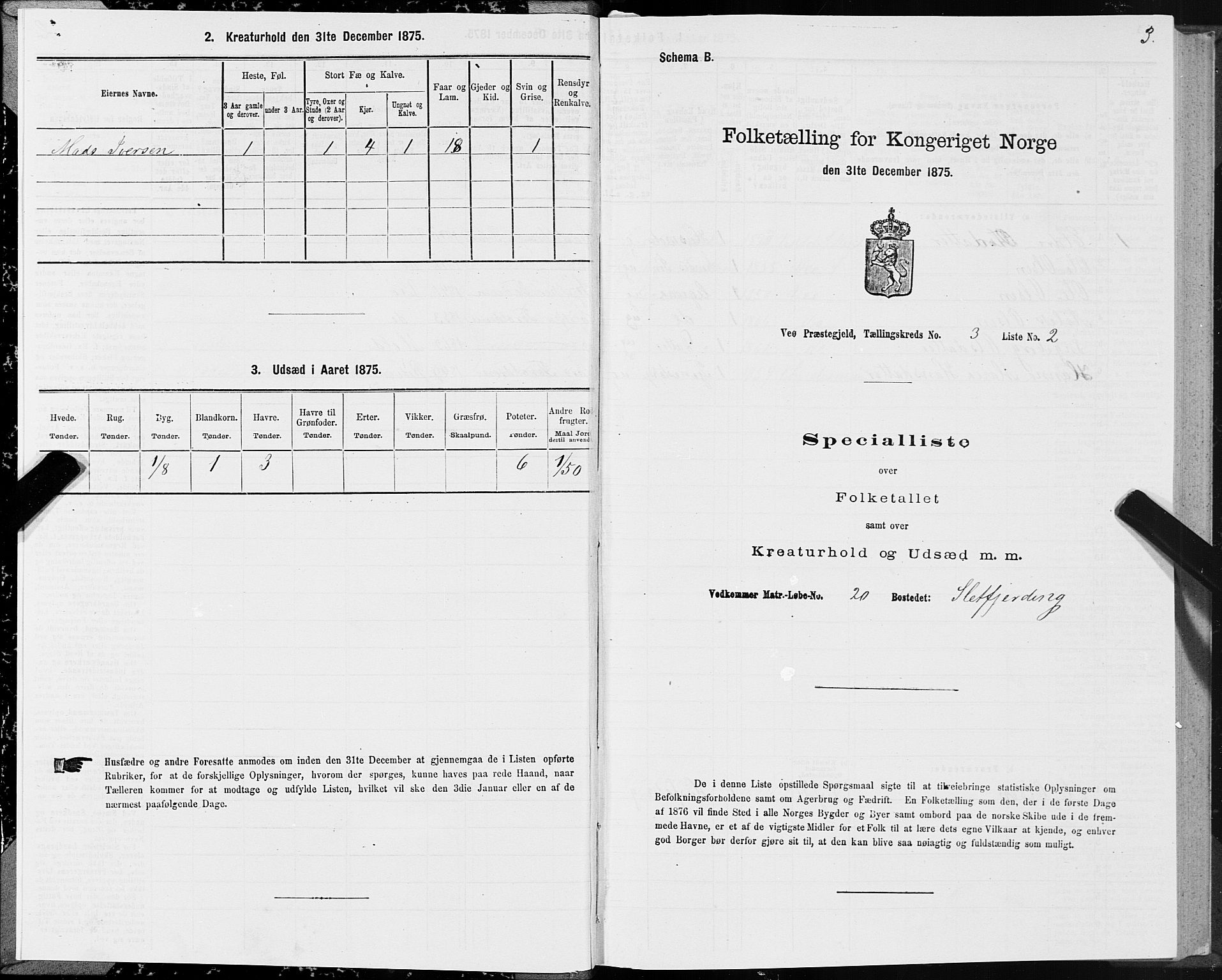 SAT, 1875 census for 1541P Veøy, 1875, p. 2003