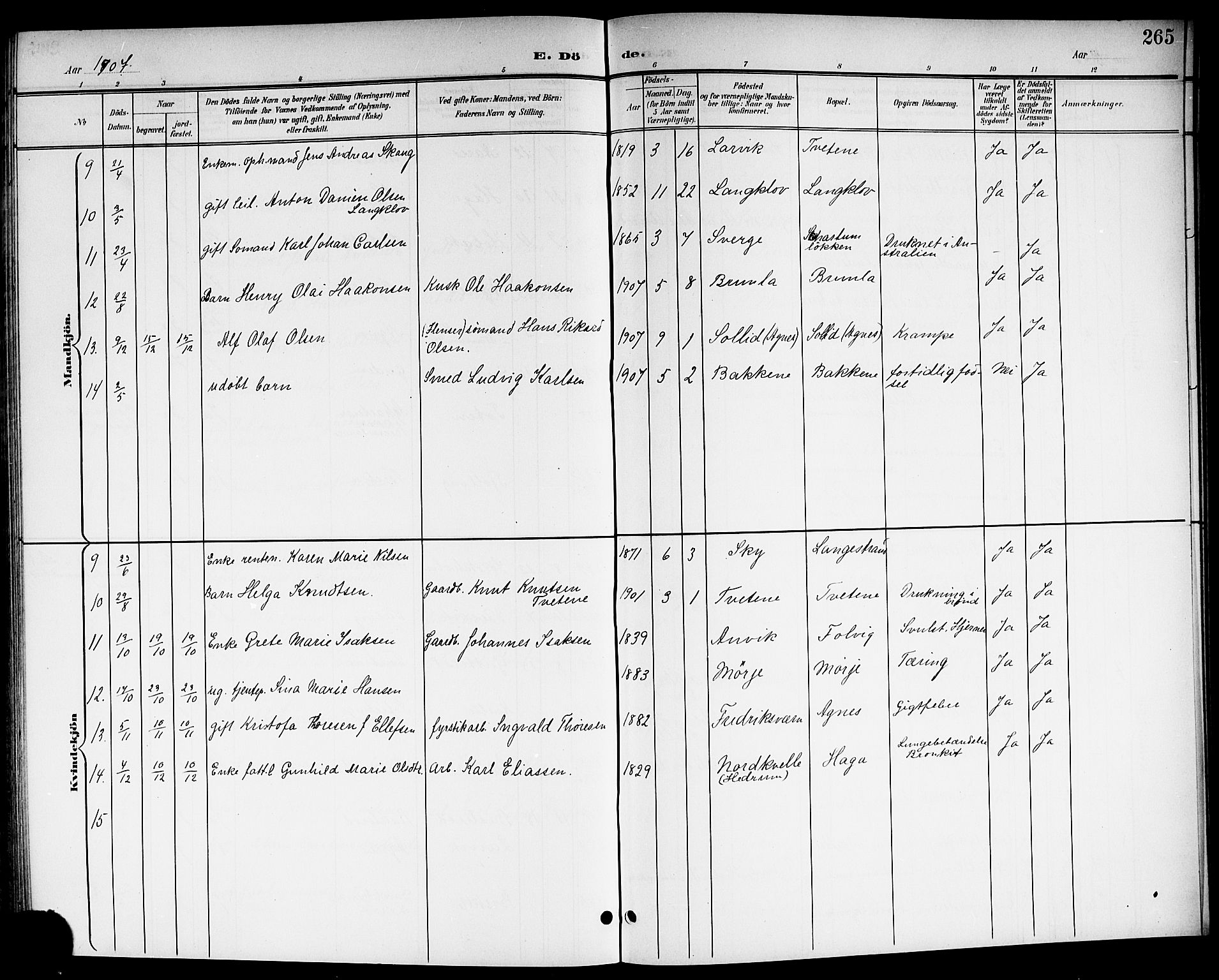 Brunlanes kirkebøker, AV/SAKO-A-342/G/Ga/L0004: Parish register (copy) no. I 4, 1898-1921, p. 265