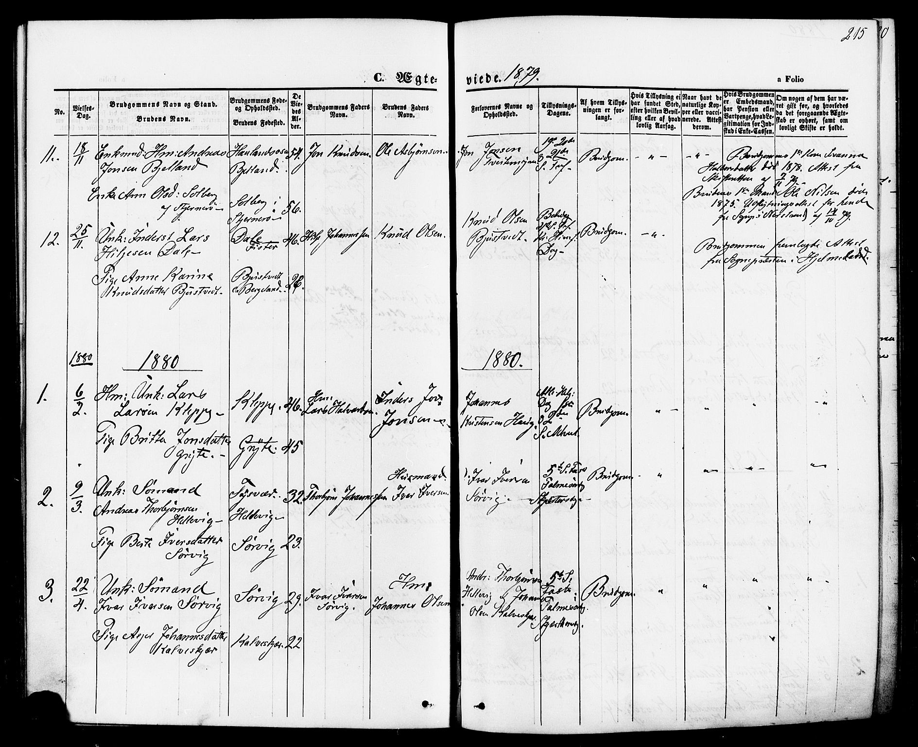 Jelsa sokneprestkontor, SAST/A-101842/01/IV: Parish register (official) no. A 8, 1867-1883, p. 215