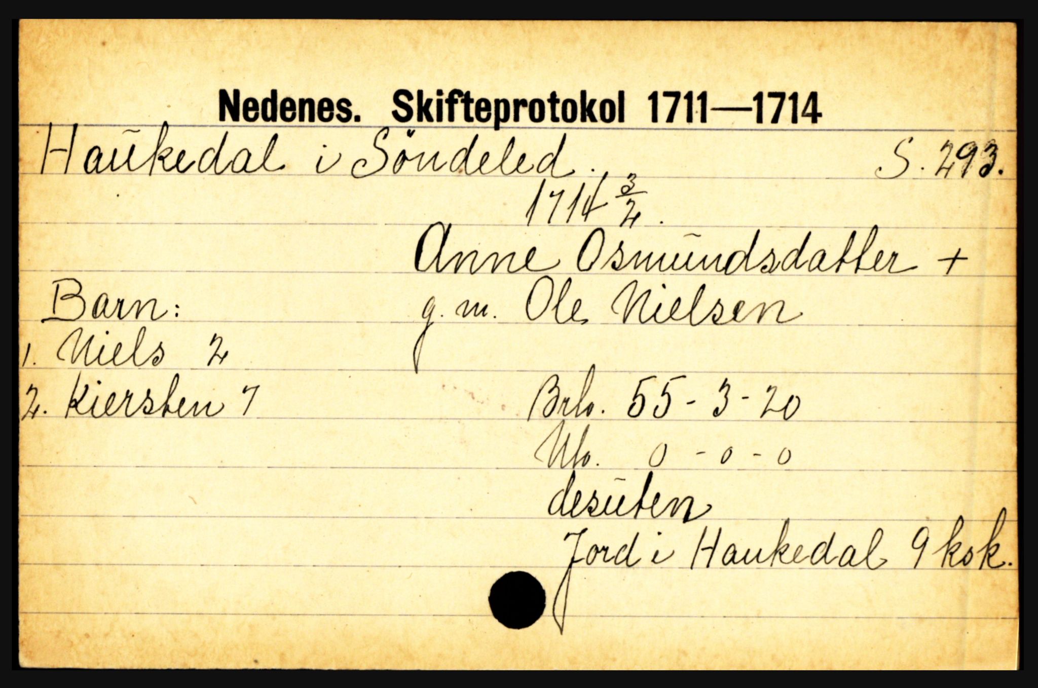 Nedenes sorenskriveri før 1824, AV/SAK-1221-0007/H, p. 11333