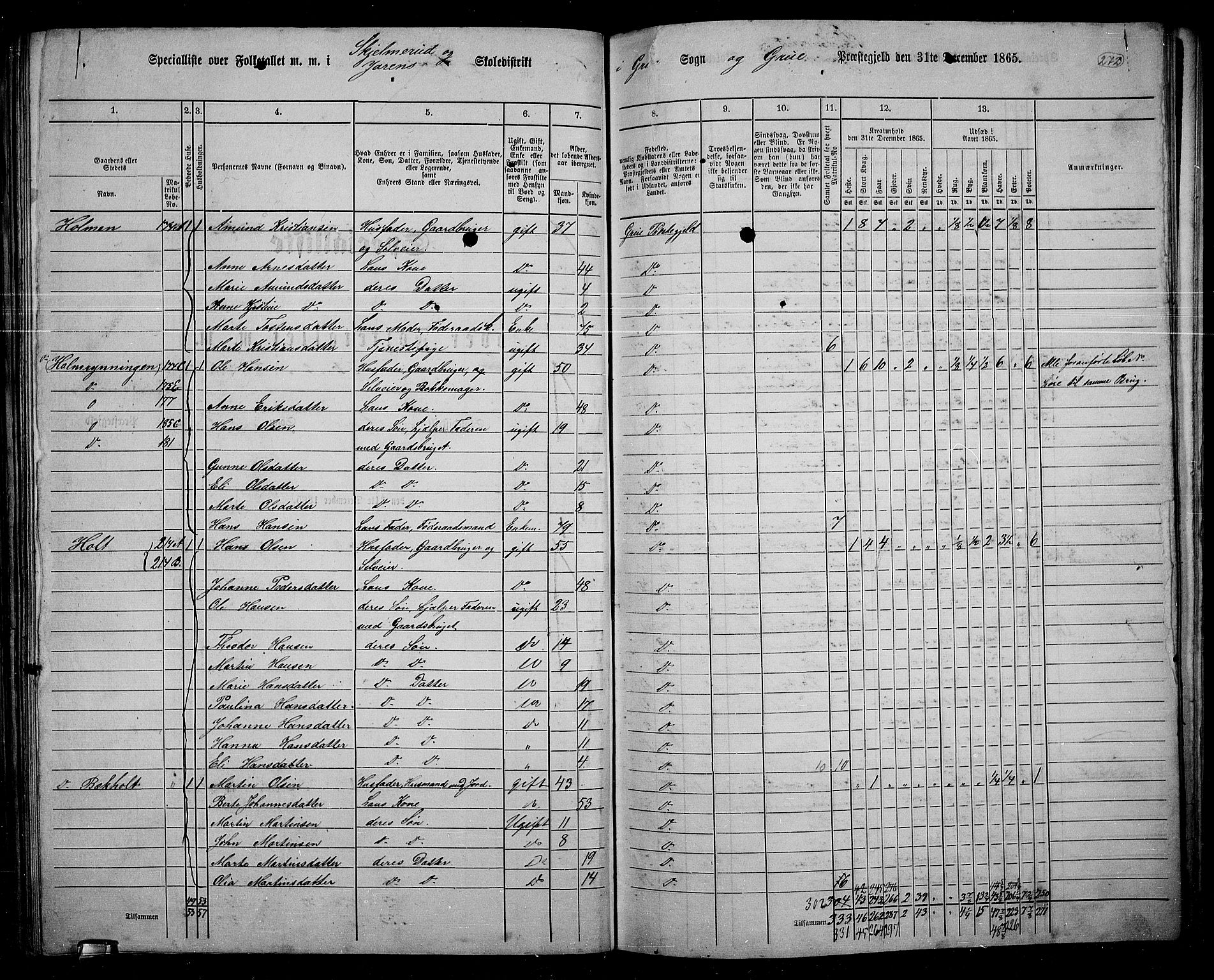 RA, 1865 census for Grue, 1865, p. 241