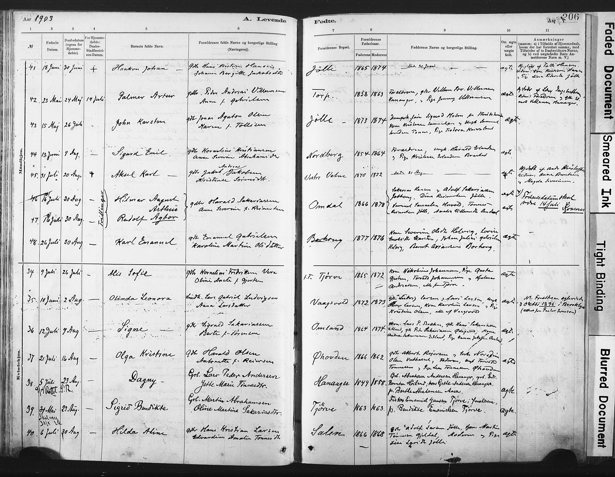 Lista sokneprestkontor, AV/SAK-1111-0027/F/Fa/L0012: Parish register (official) no. A 12, 1879-1903, p. 206