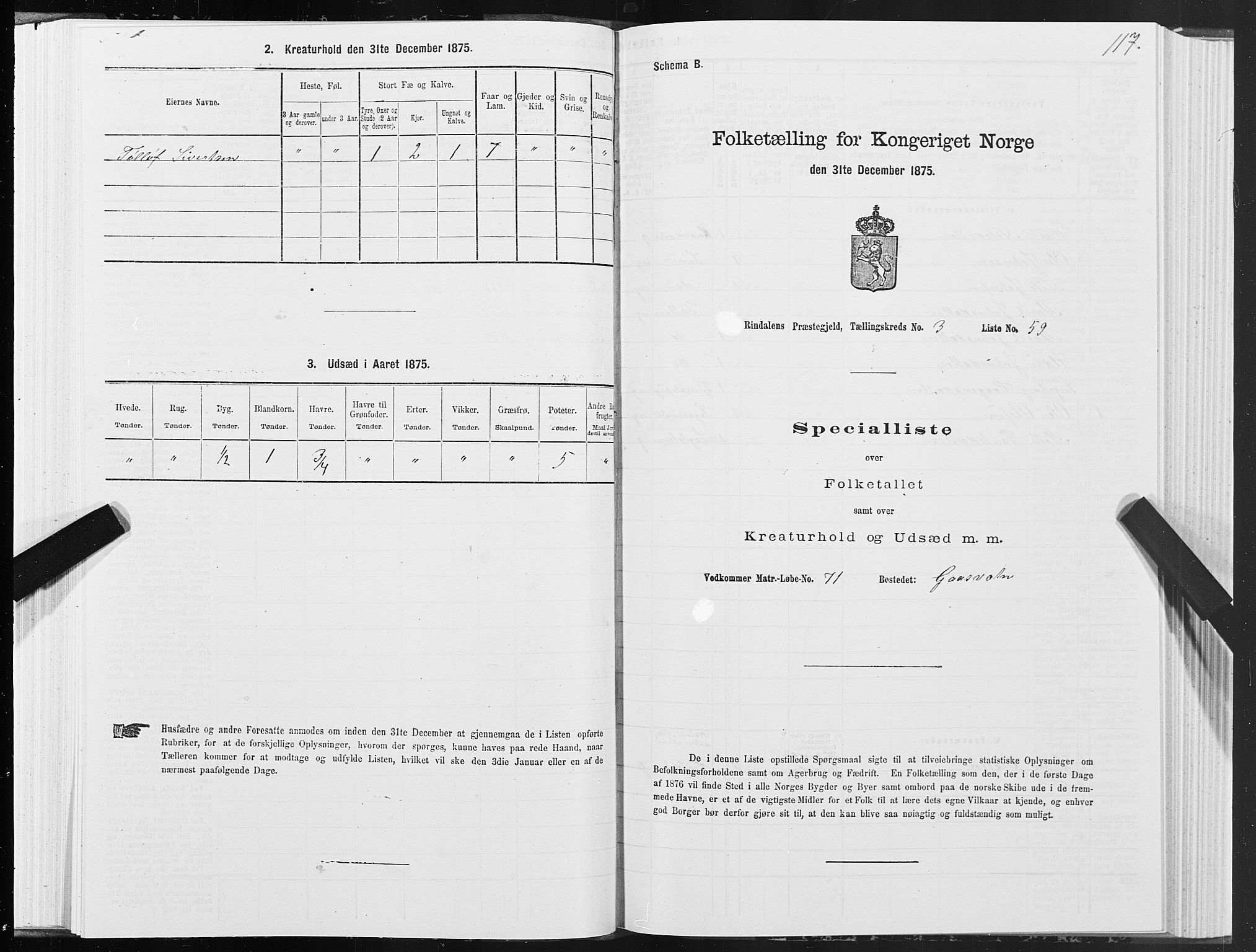 SAT, 1875 census for 1567P Rindal, 1875, p. 2117