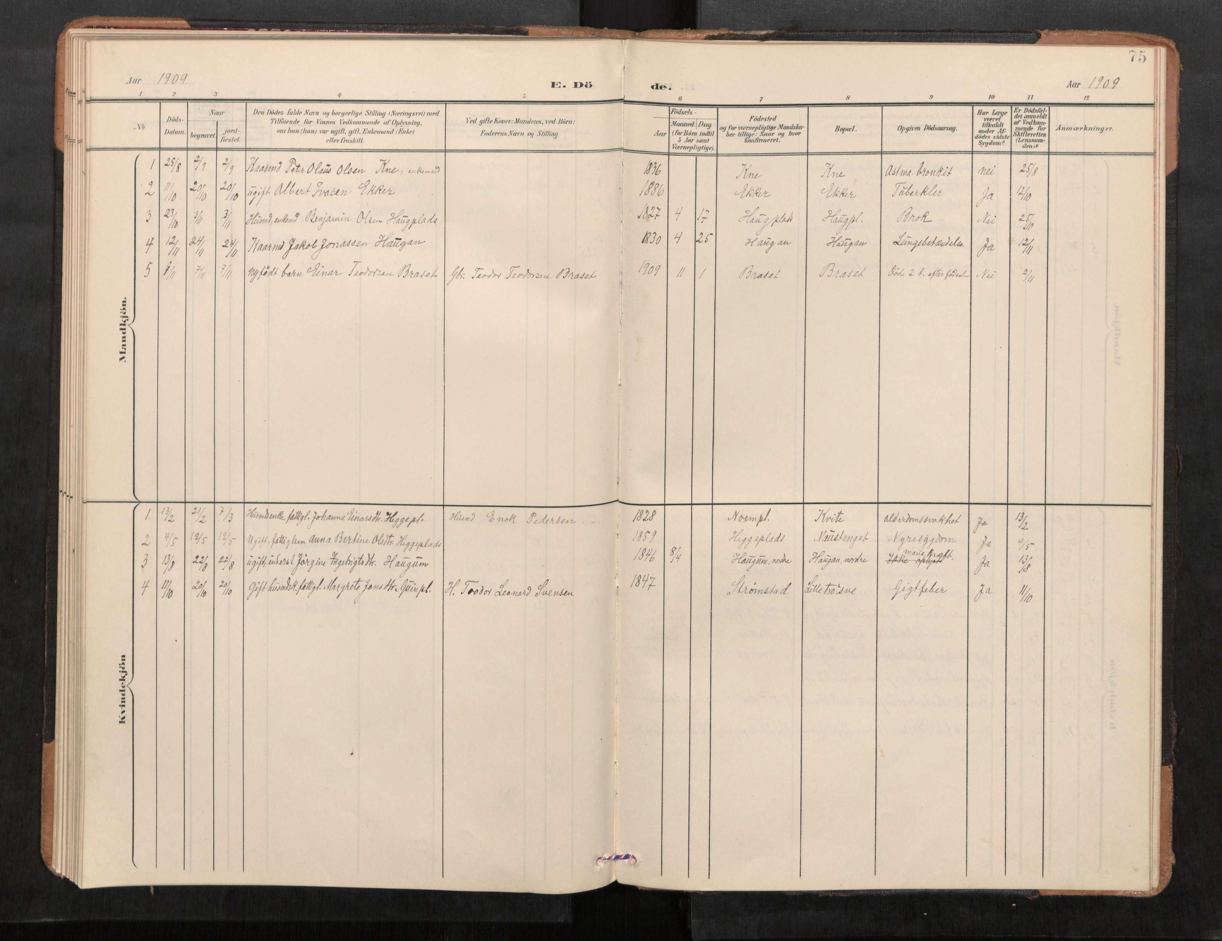 Stod sokneprestkontor, SAT/A-1164/1/I/I1/I1a/L0001: Parish register (official) no. 1, 1900-1912, p. 75