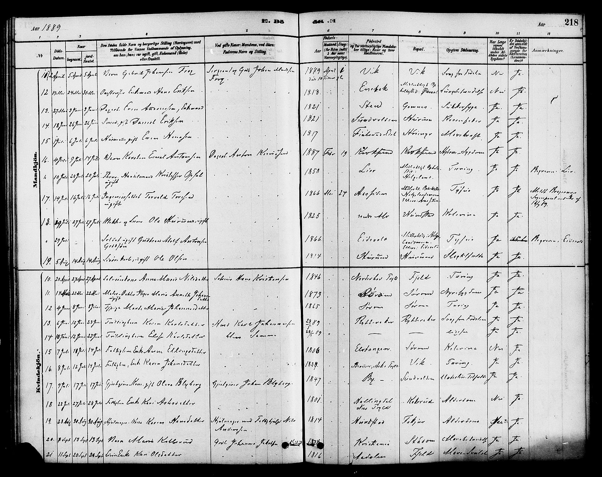 Hole kirkebøker, SAKO/A-228/F/Fa/L0008: Parish register (official) no. I 8, 1878-1891, p. 218