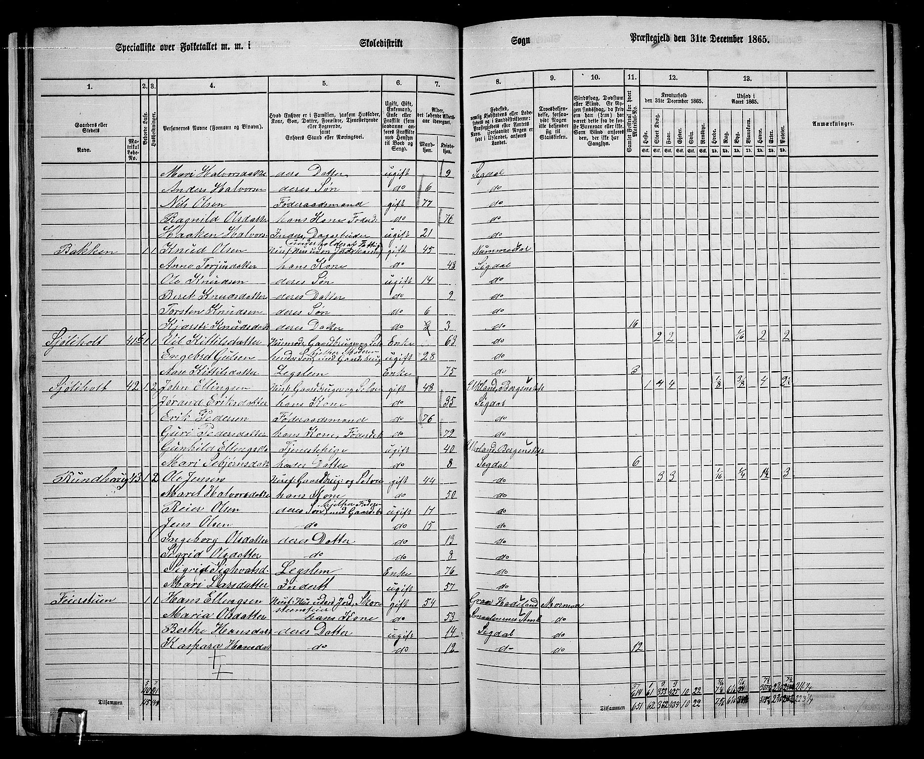 RA, 1865 census for Sigdal, 1865, p. 40