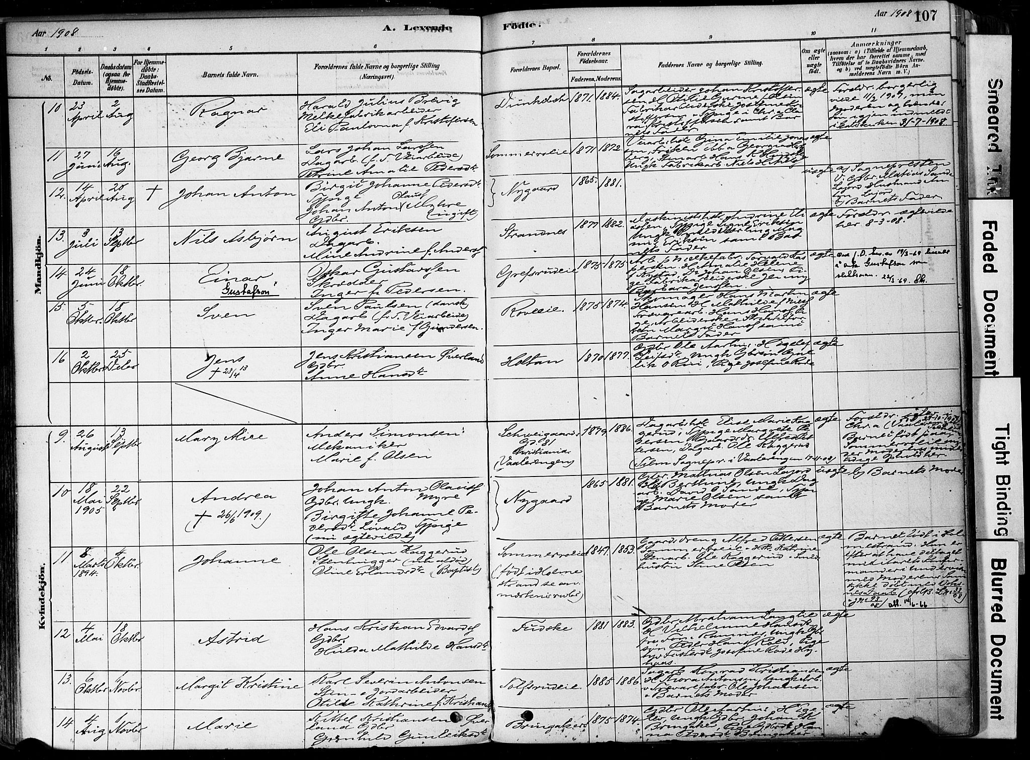 Botne kirkebøker, AV/SAKO-A-340/F/Fa/L0007: Parish register (official) no. I 7, 1878-1910, p. 107