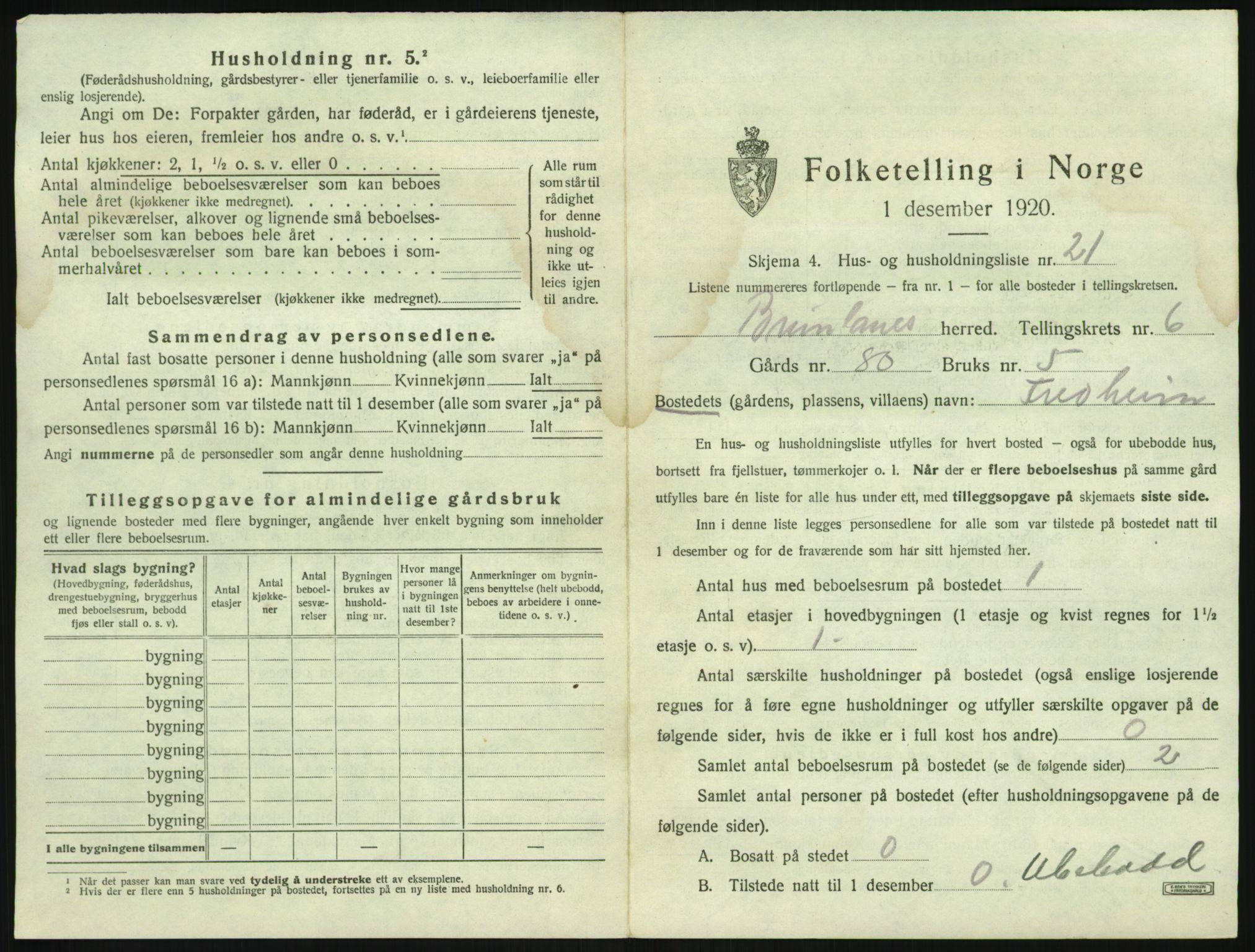 SAKO, 1920 census for Brunlanes, 1920, p. 905