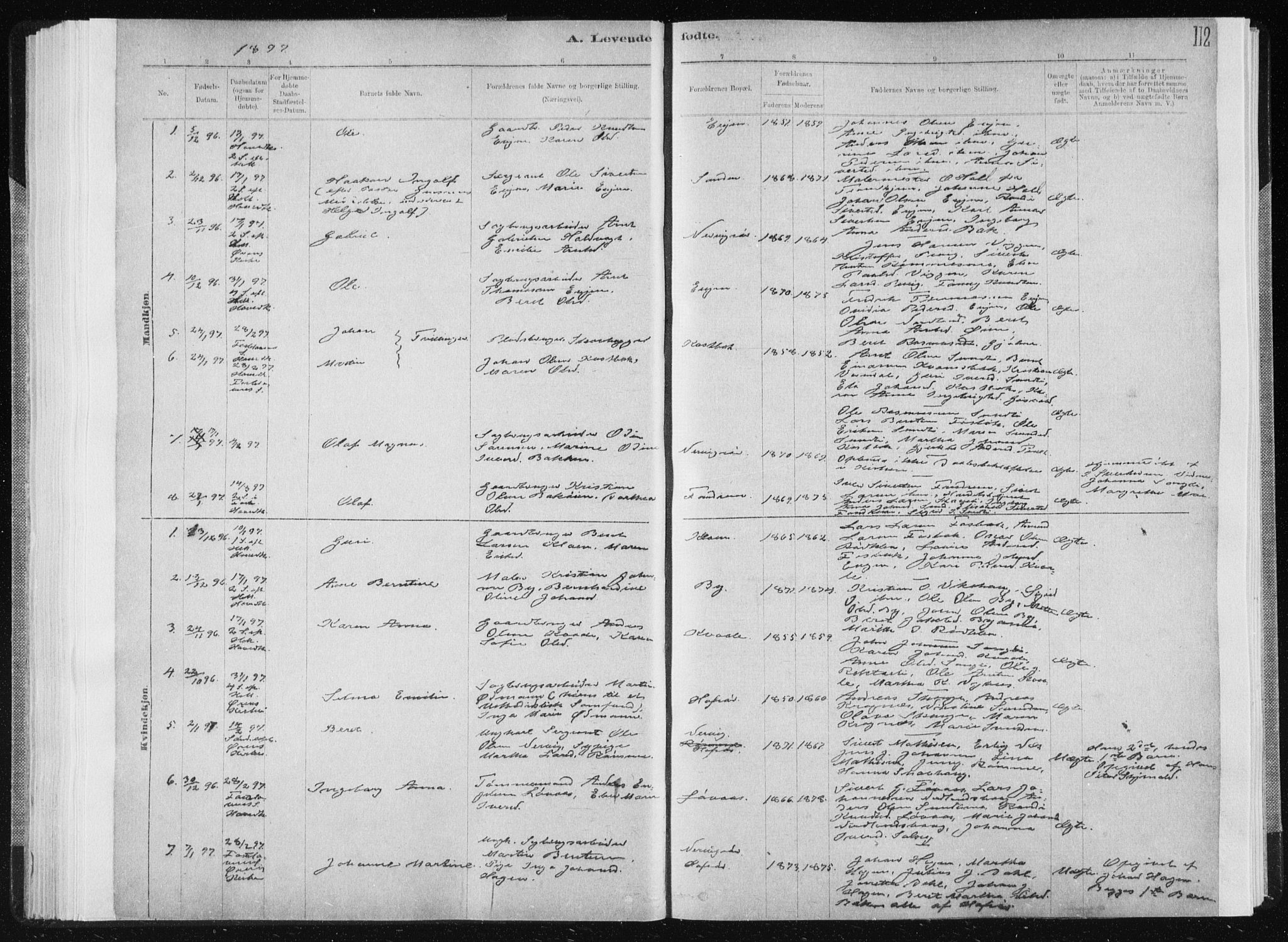 Ministerialprotokoller, klokkerbøker og fødselsregistre - Sør-Trøndelag, SAT/A-1456/668/L0818: Parish register (copy) no. 668C07, 1885-1898, p. 112