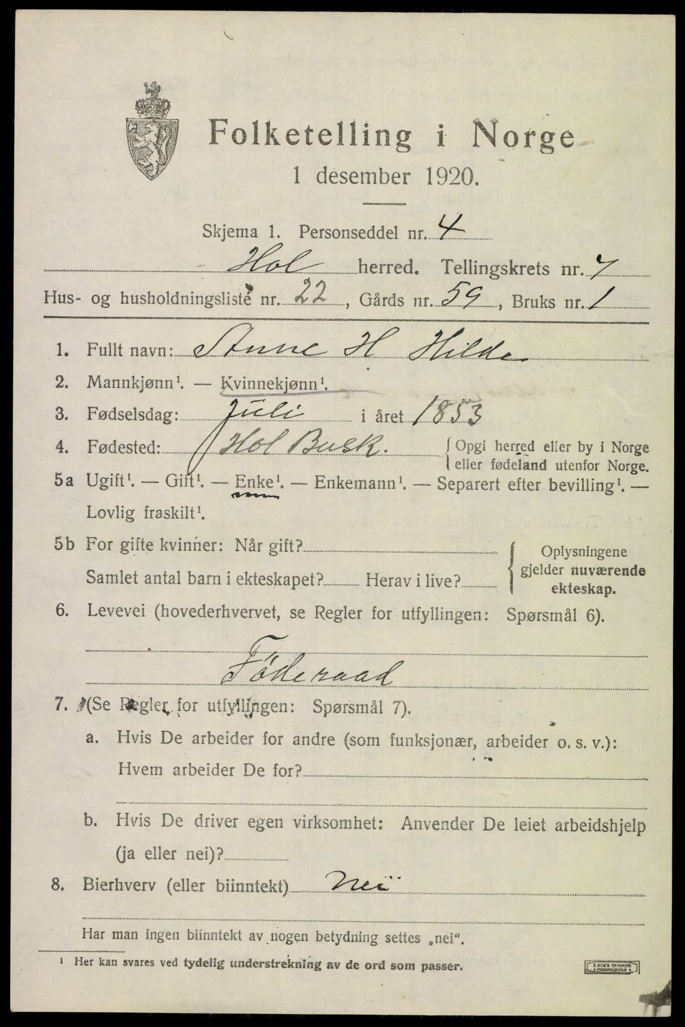 SAKO, 1920 census for Hol (Buskerud), 1920, p. 3783