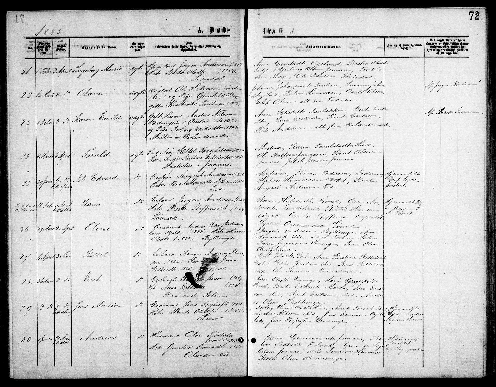 Froland sokneprestkontor, AV/SAK-1111-0013/F/Fb/L0009: Parish register (copy) no. B 9, 1875-1893, p. 72