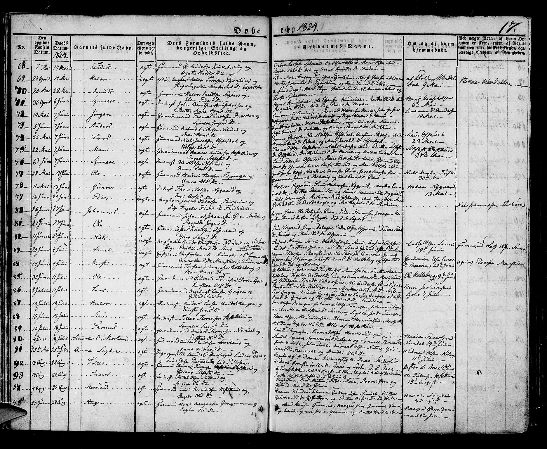 Lærdal sokneprestembete, SAB/A-81201: Parish register (official) no. A 5, 1822-1834, p. 17