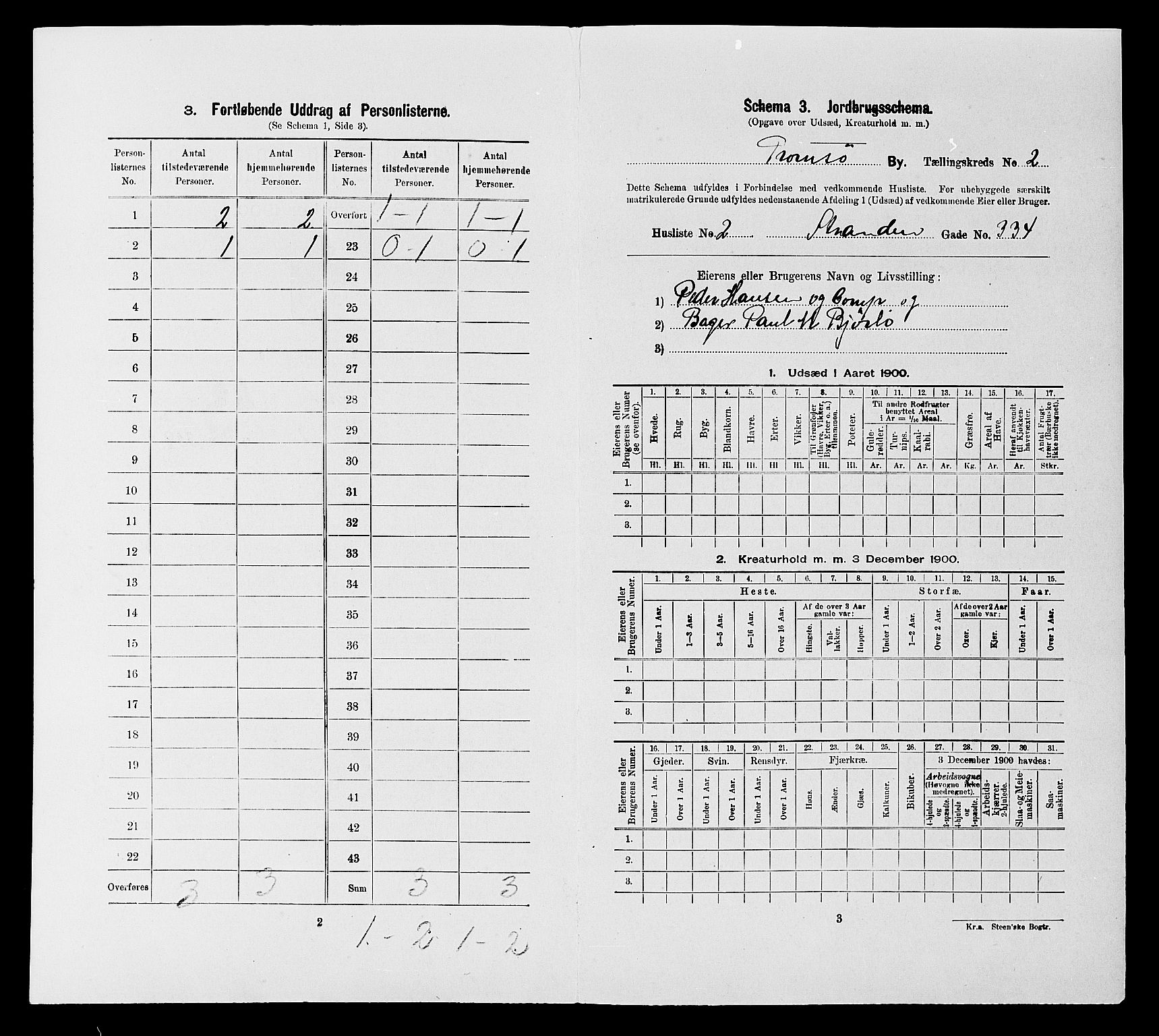 SATØ, 1900 census for Tromsø, 1900, p. 247